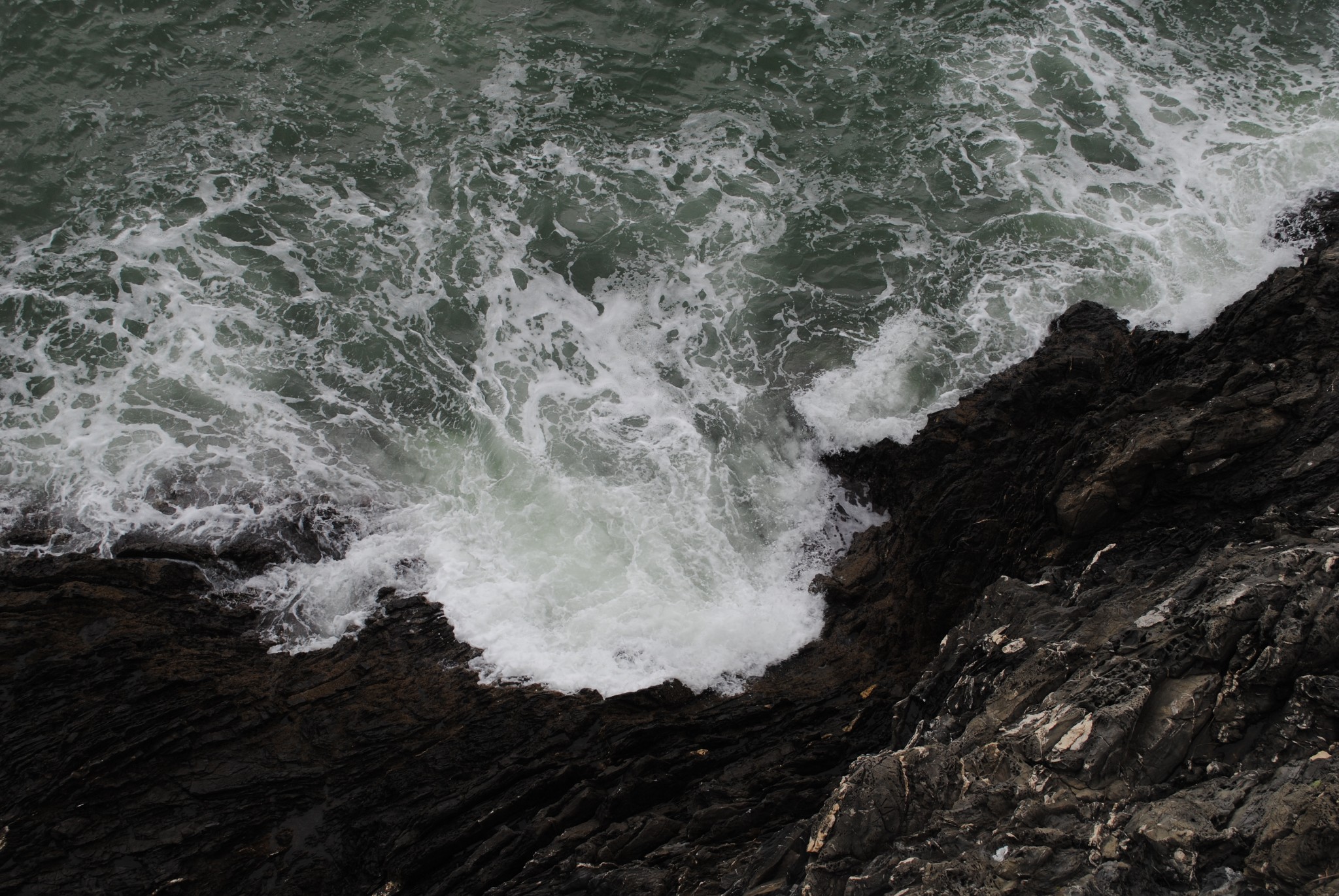 Day 6: To the Ocean! — image 6