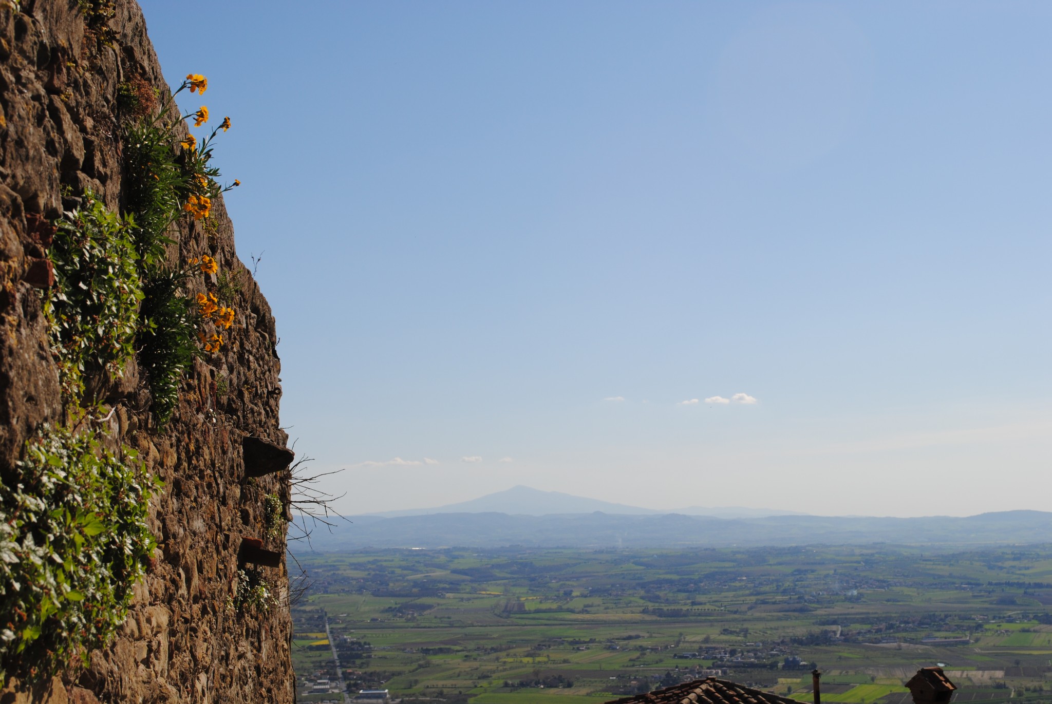 Day 10: Cortona for One — image 5