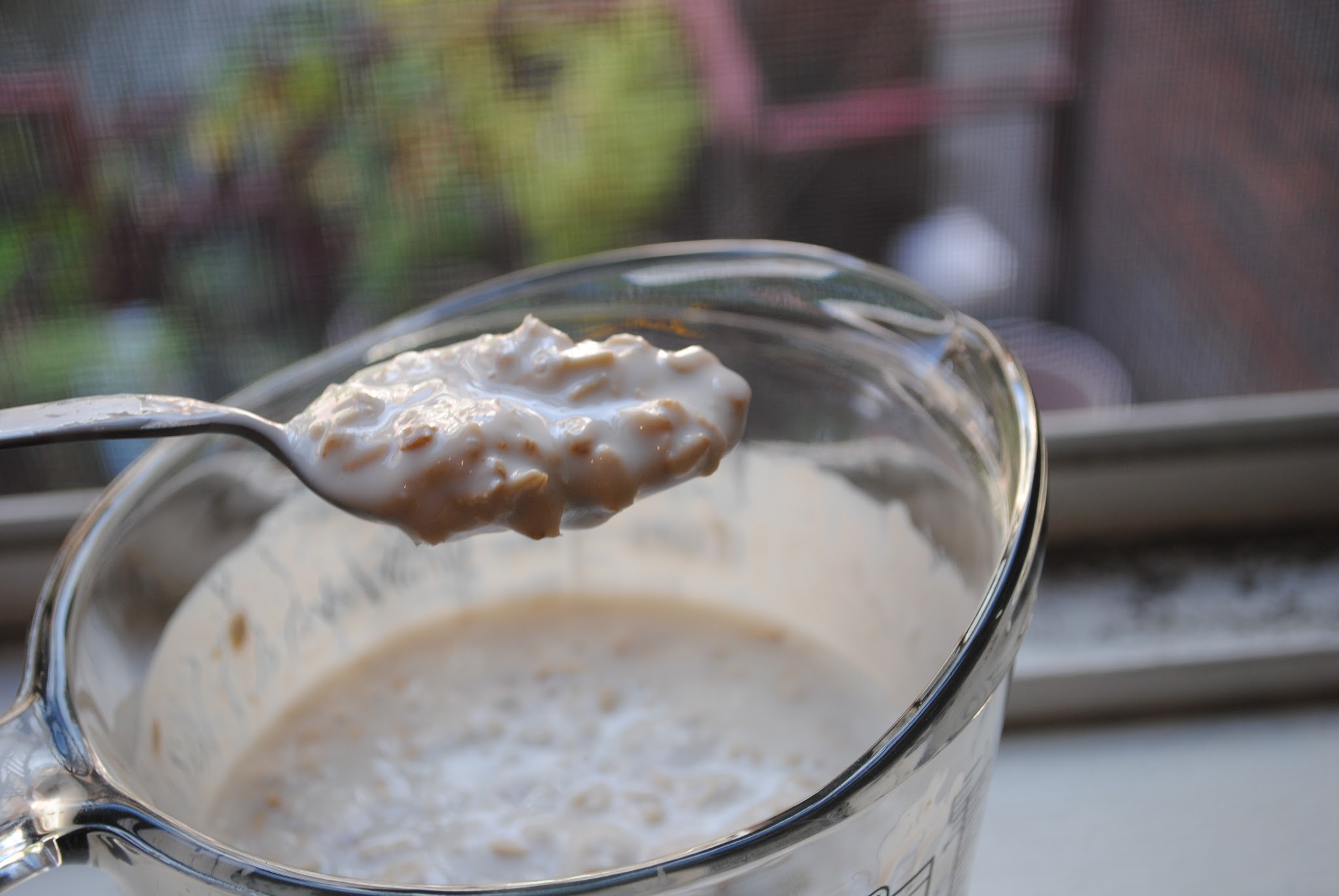Blueberry Oatmeal Muffins — image 4
