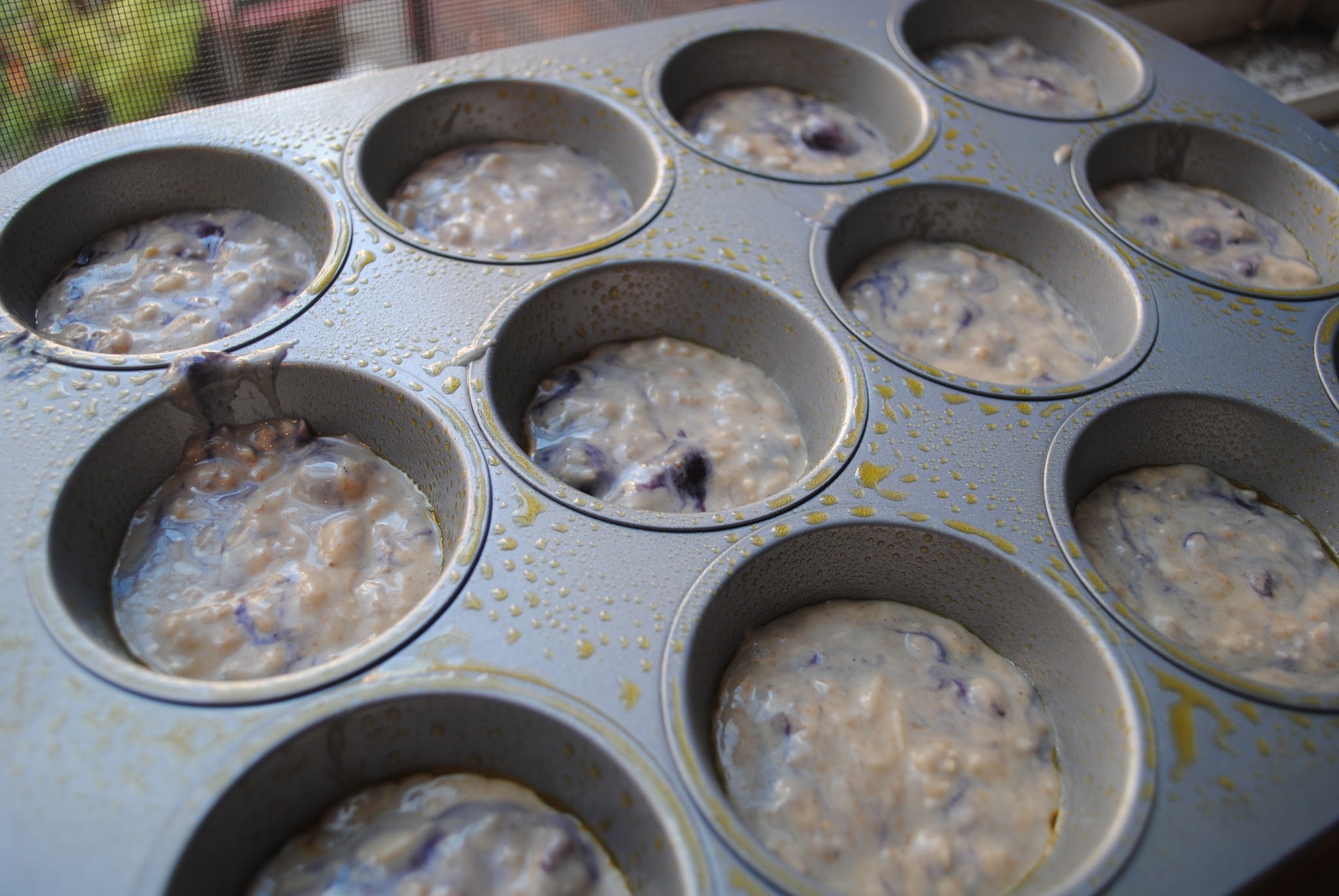 Blueberry Oatmeal Muffins — image 5
