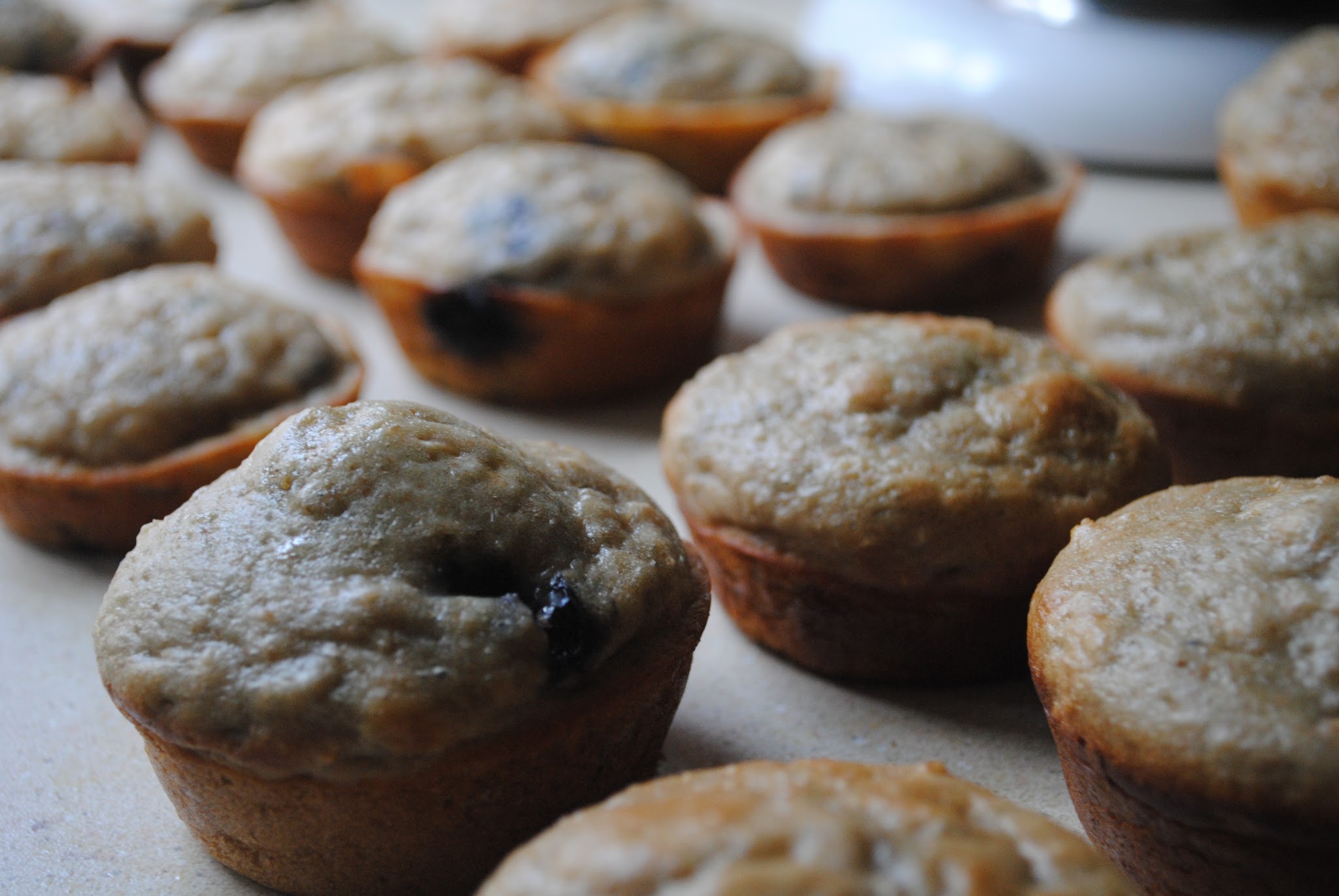 Blueberry Oatmeal Muffins