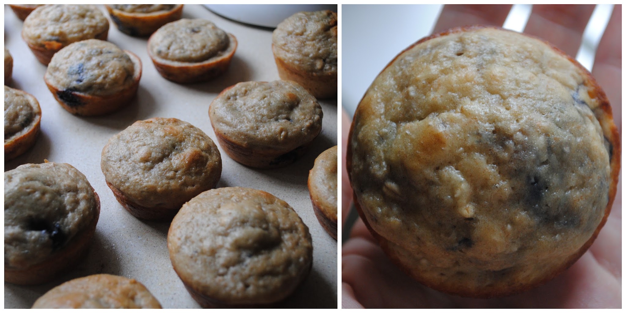 Blueberry Oatmeal Muffins — image 6