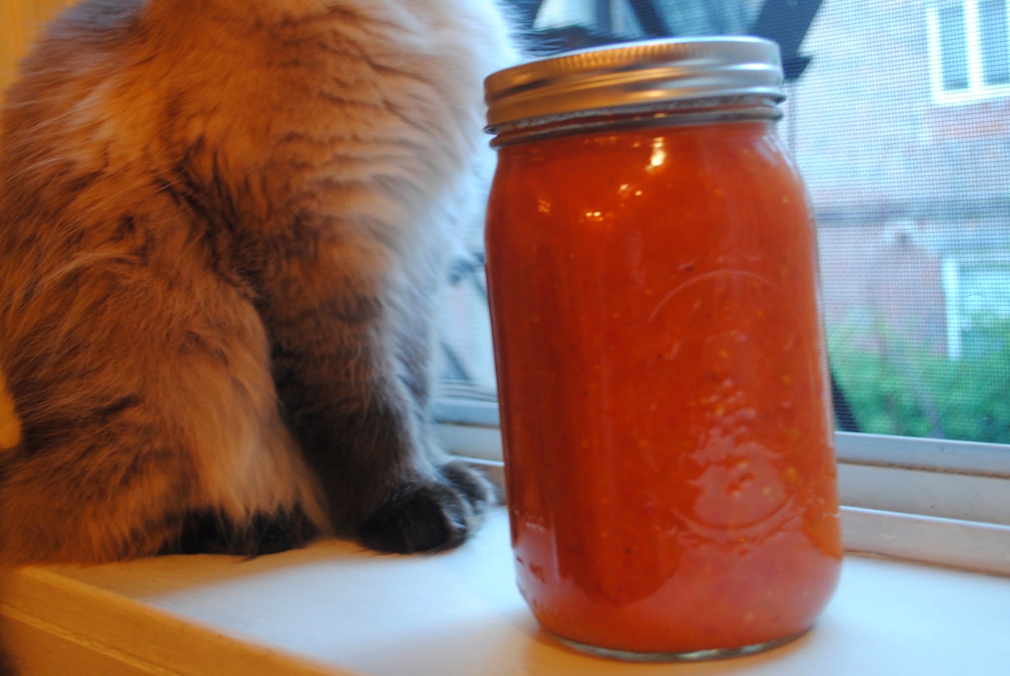 Homemade San Marzano Sauce — image 7
