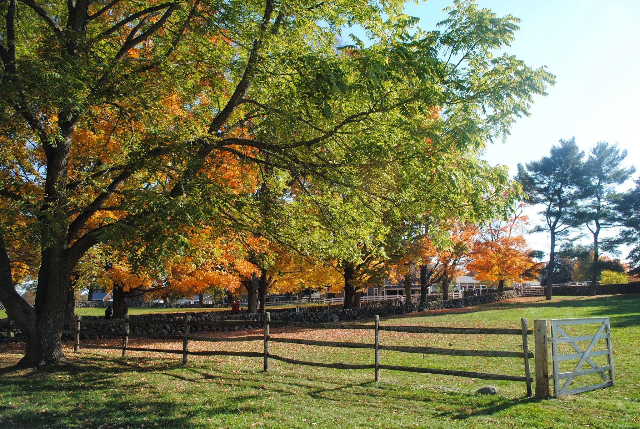 escaping to the farm in the fall — image 2
