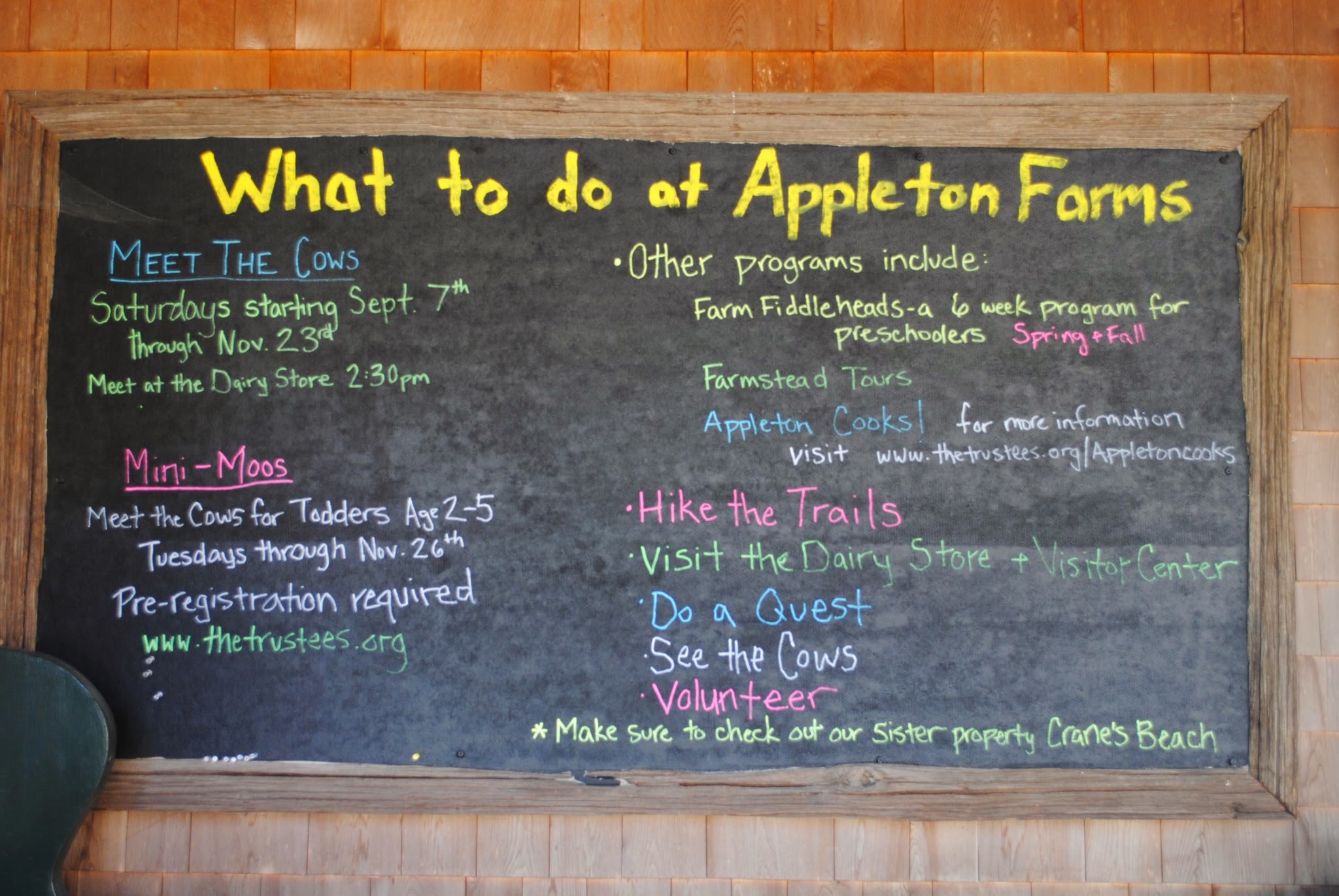 escaping to the farm in the fall — image 3