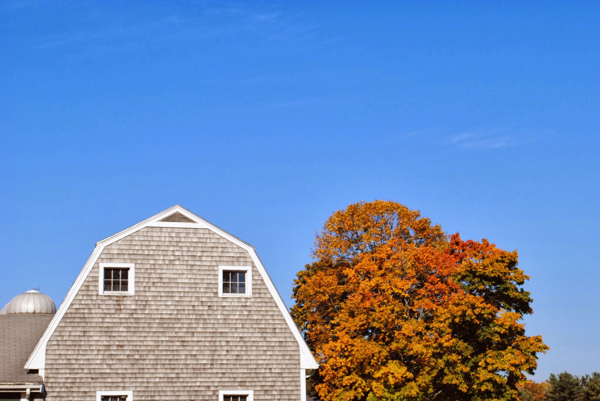 escaping to the farm in the fall — image 5