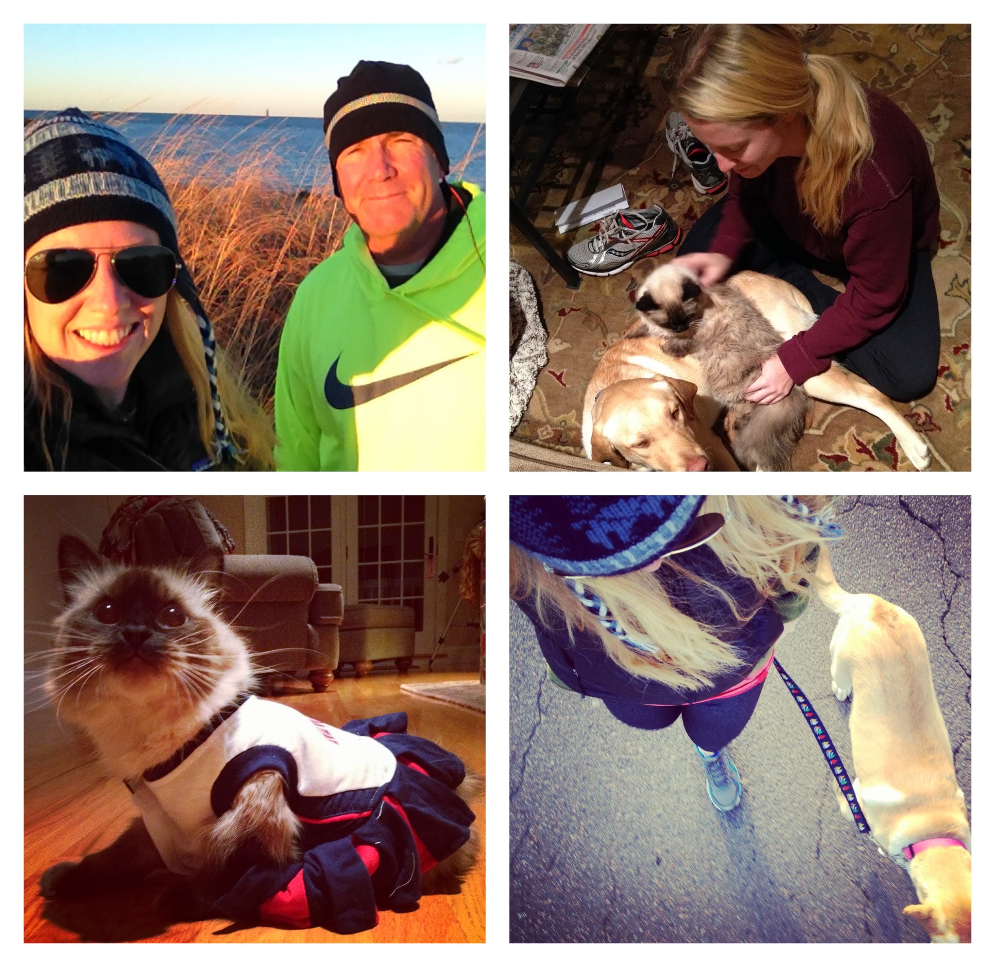 thanksgiving activities — image 7