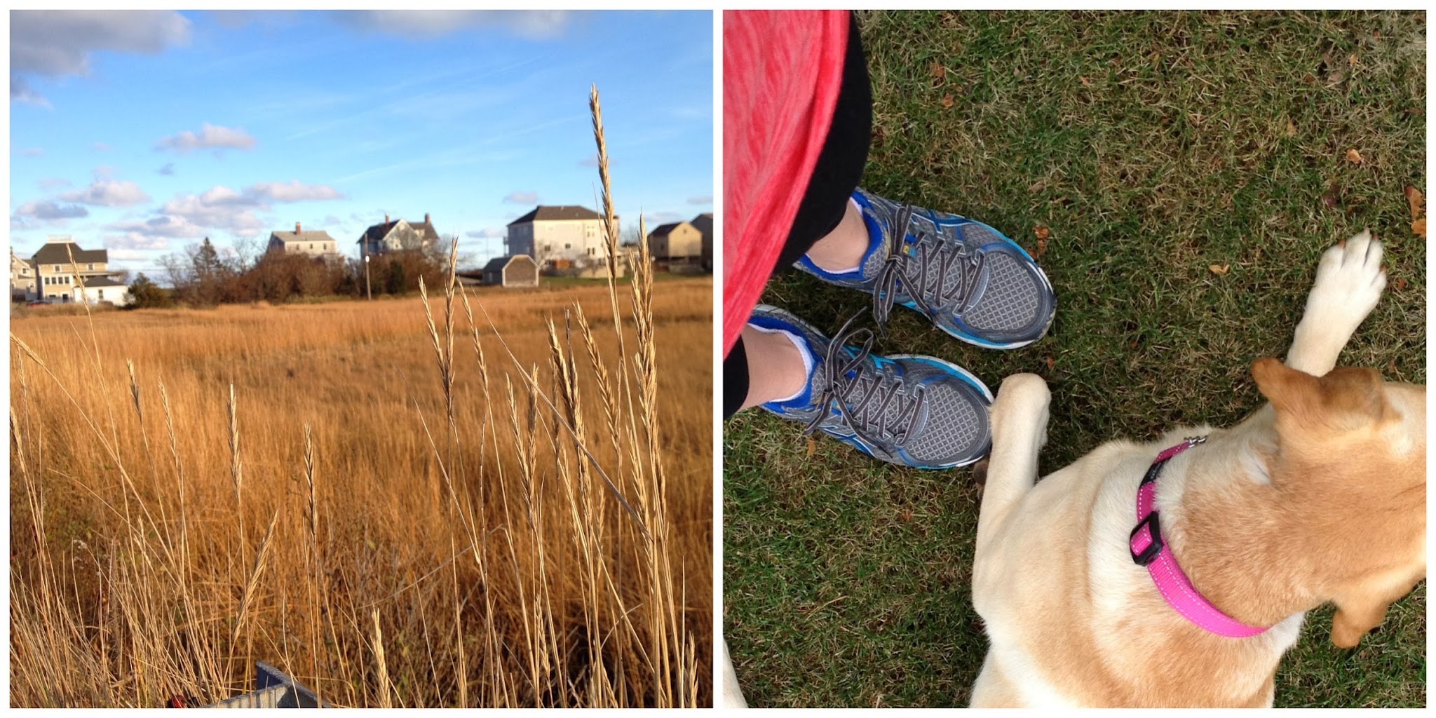 thanksgiving activities — image 9