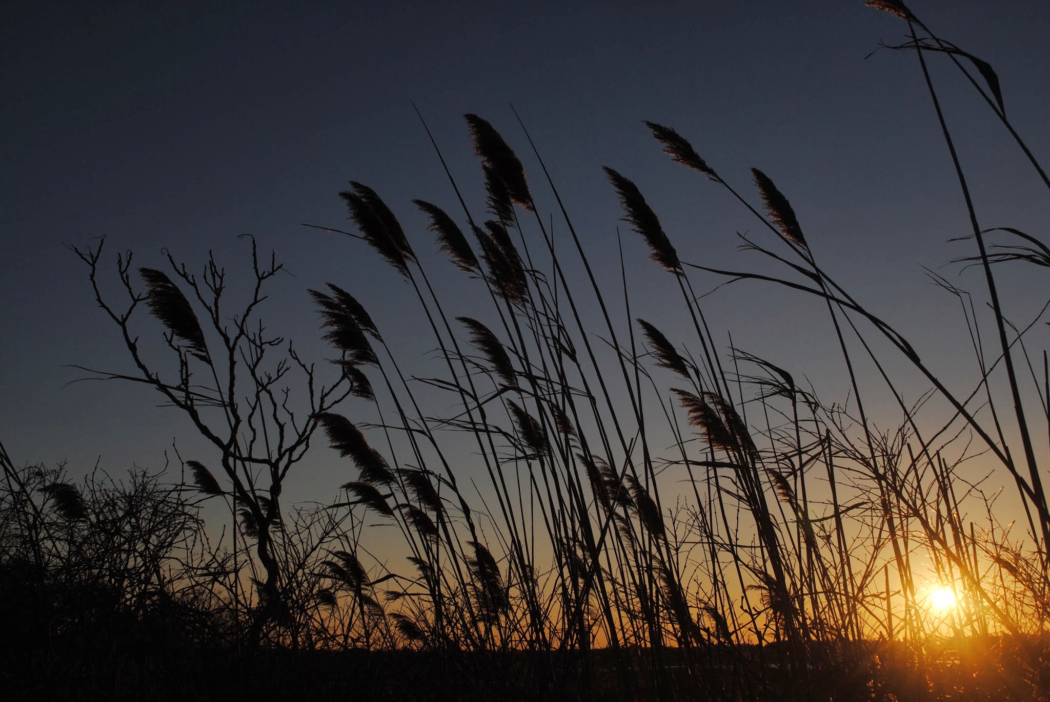 thanksgiving activities — image 6