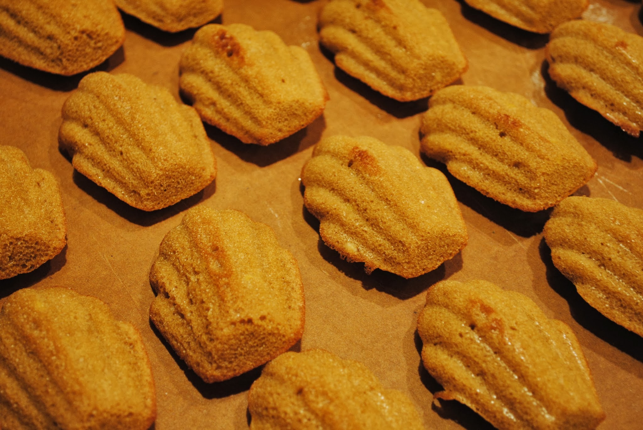 gingerbread madeleines — image 1