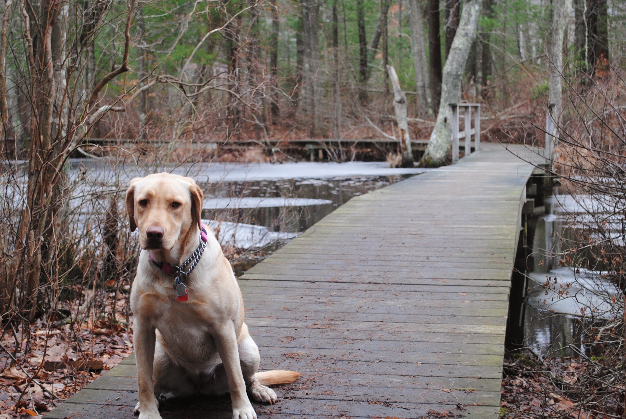 Outdoors with Ruby May — image 2