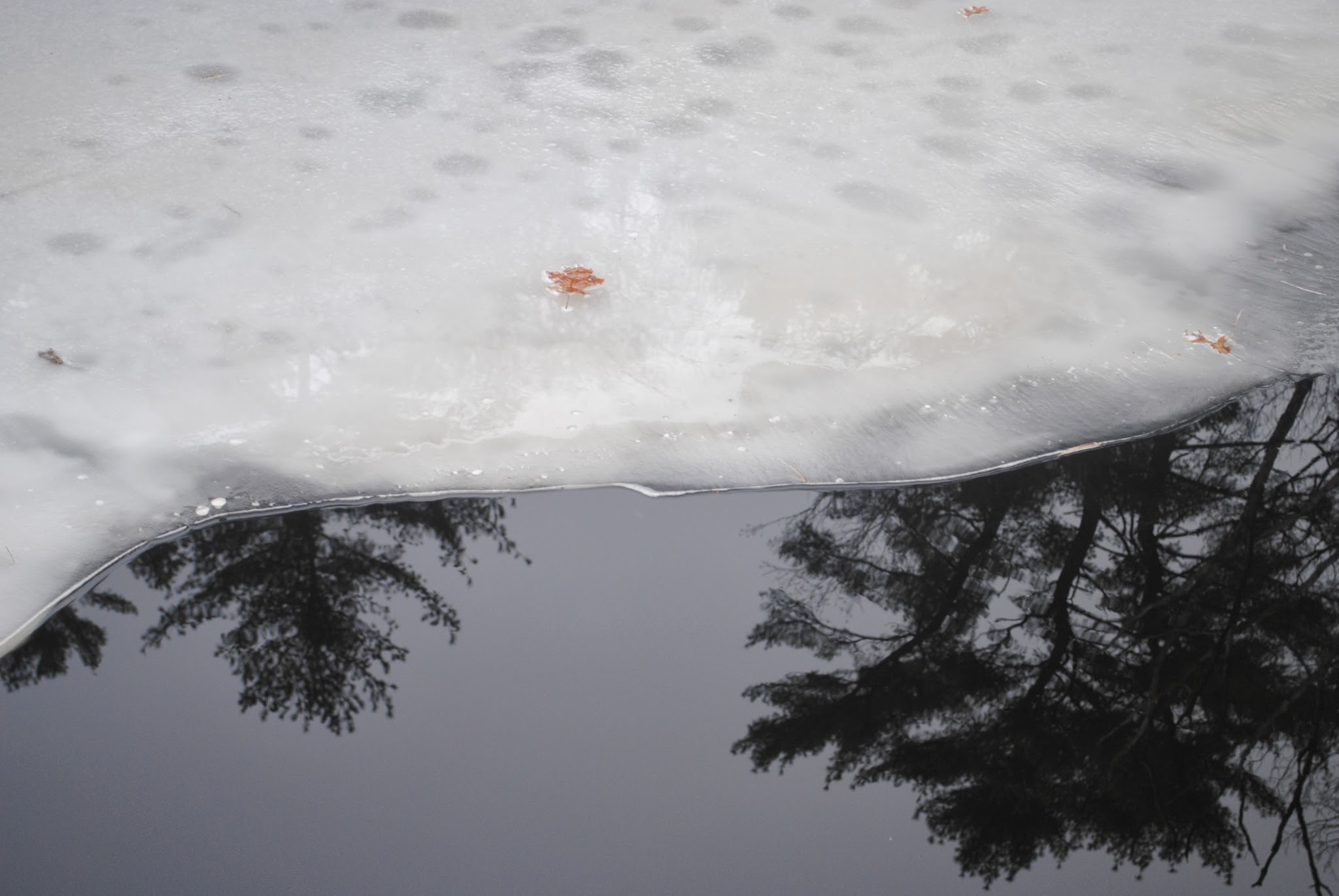 Outdoors with Ruby May — image 3