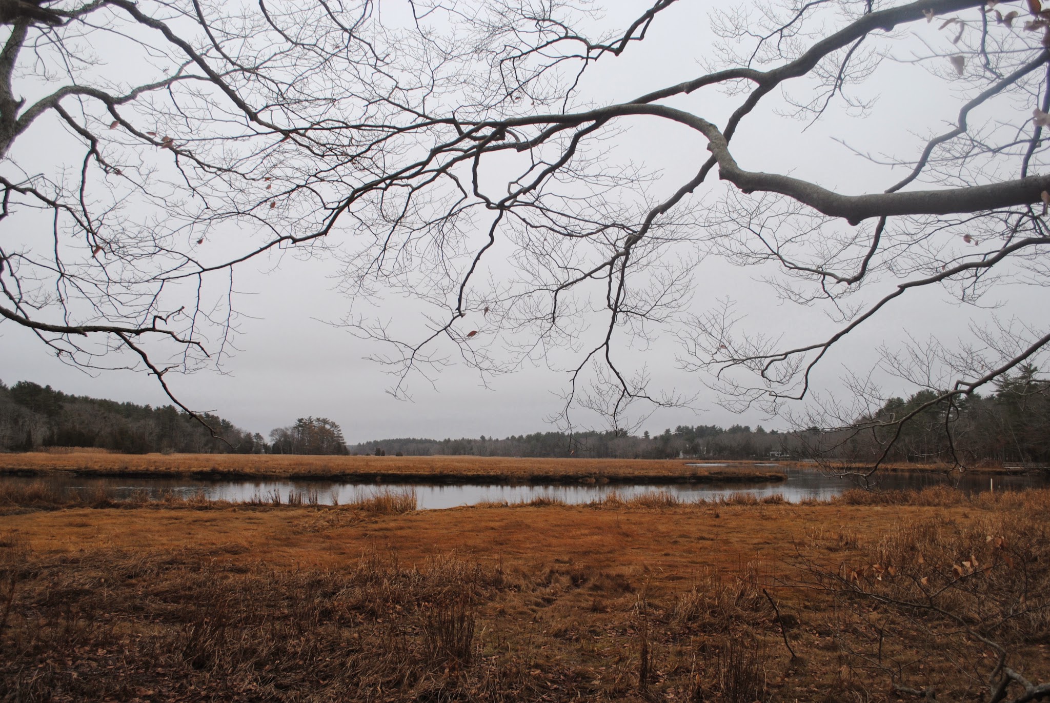 Outdoors with Ruby May — image 6