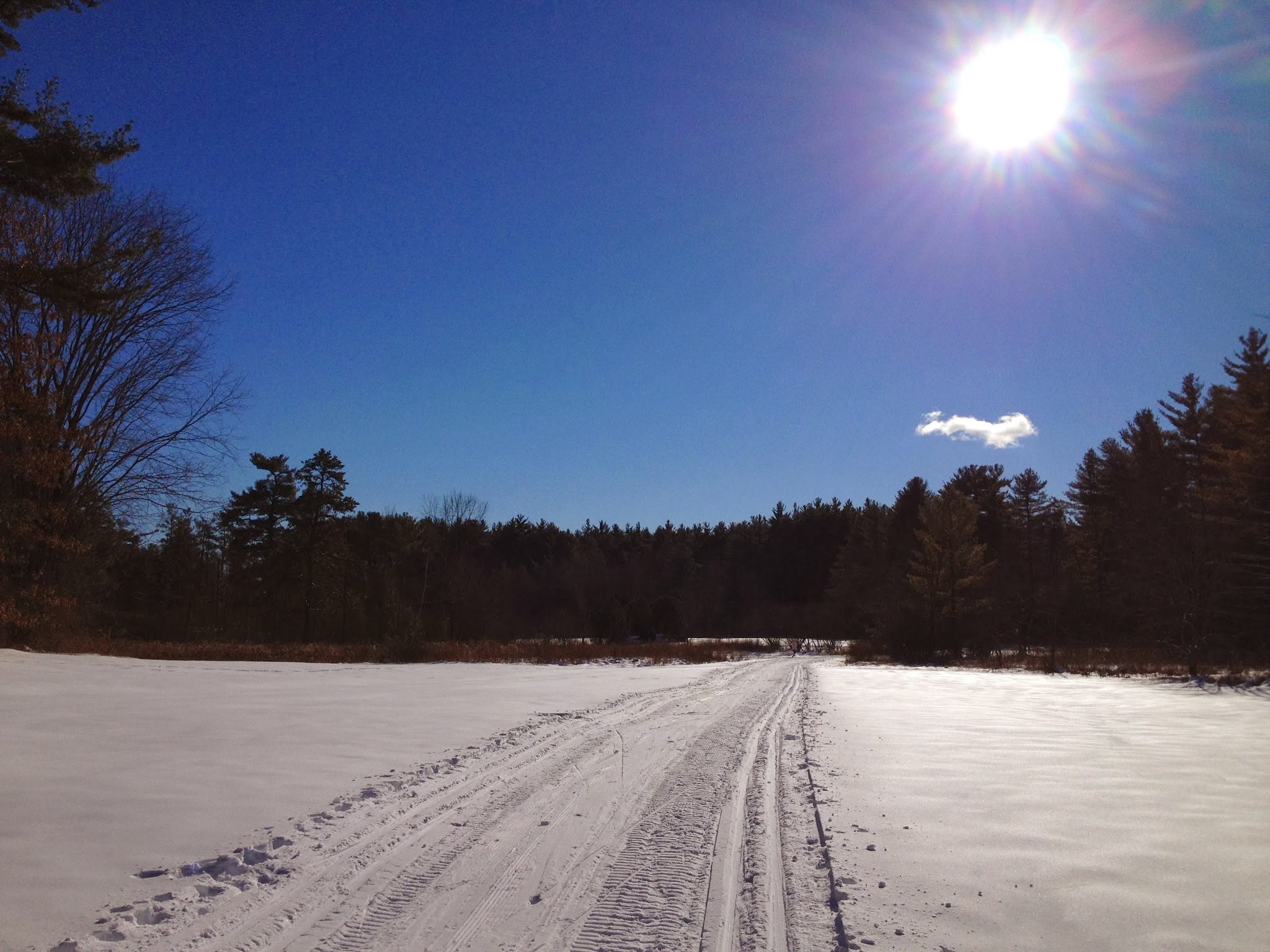Adventures in Skiing! — image 4