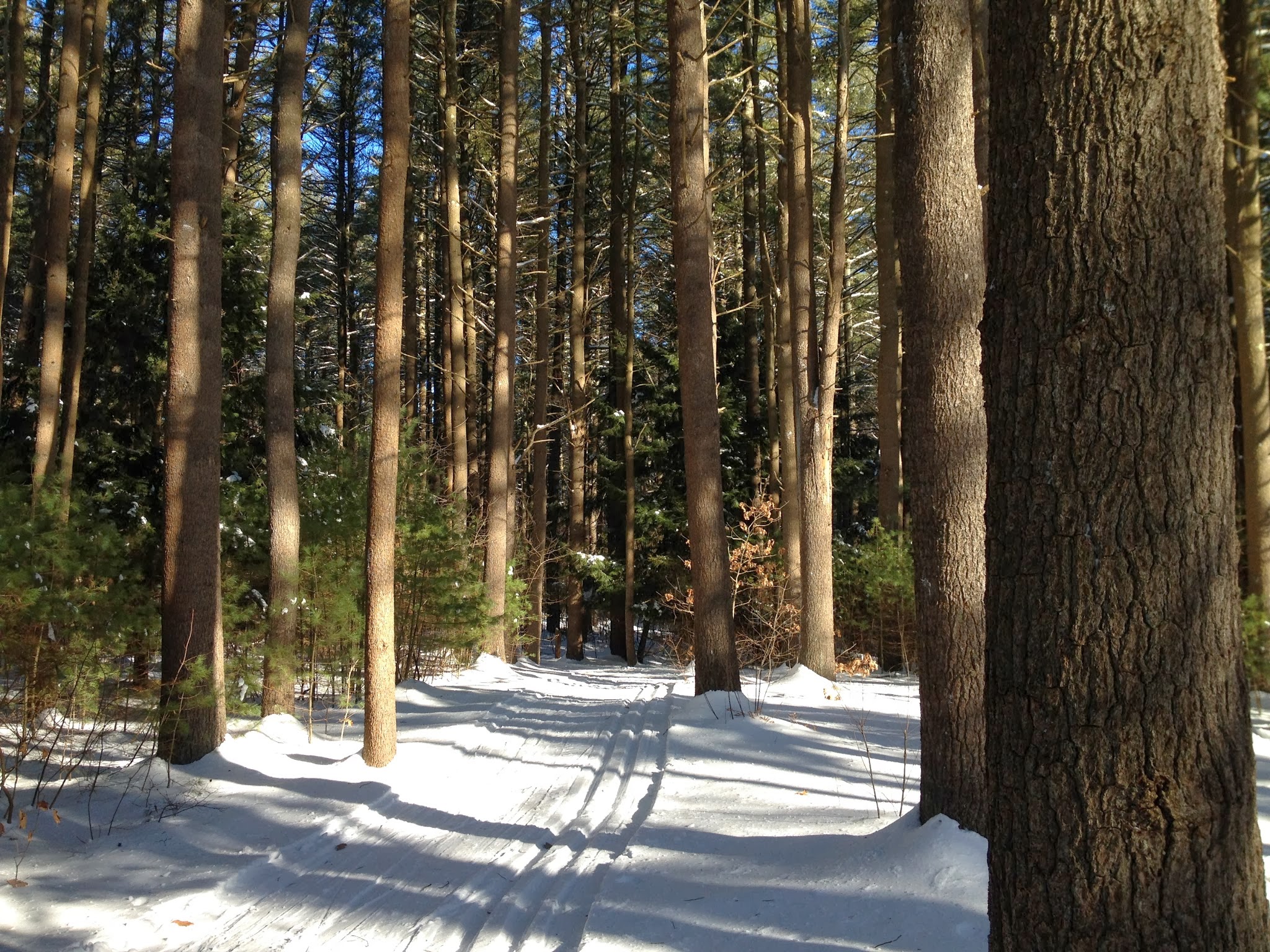 Adventures in Skiing!