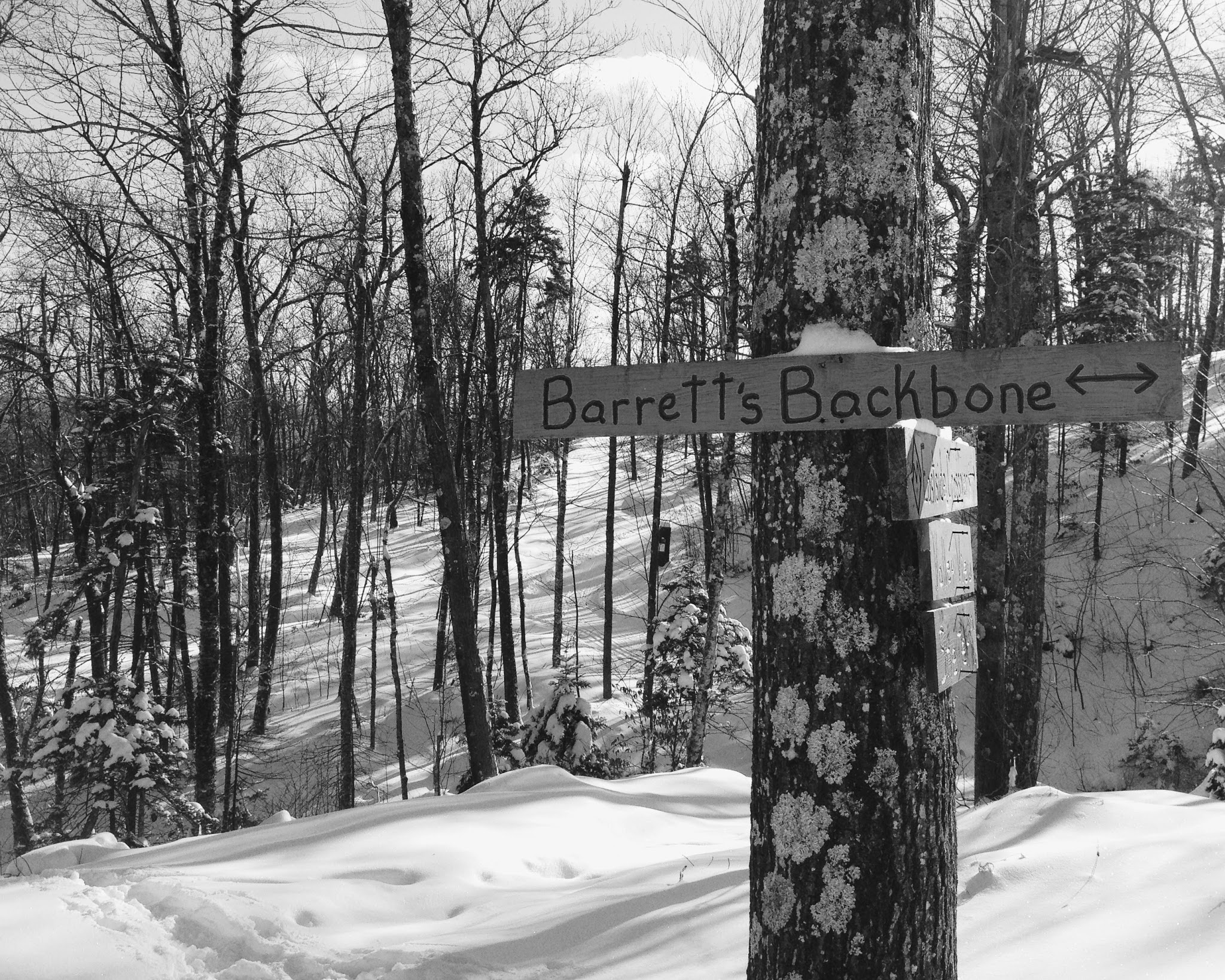 life lessons in skiing — image 9