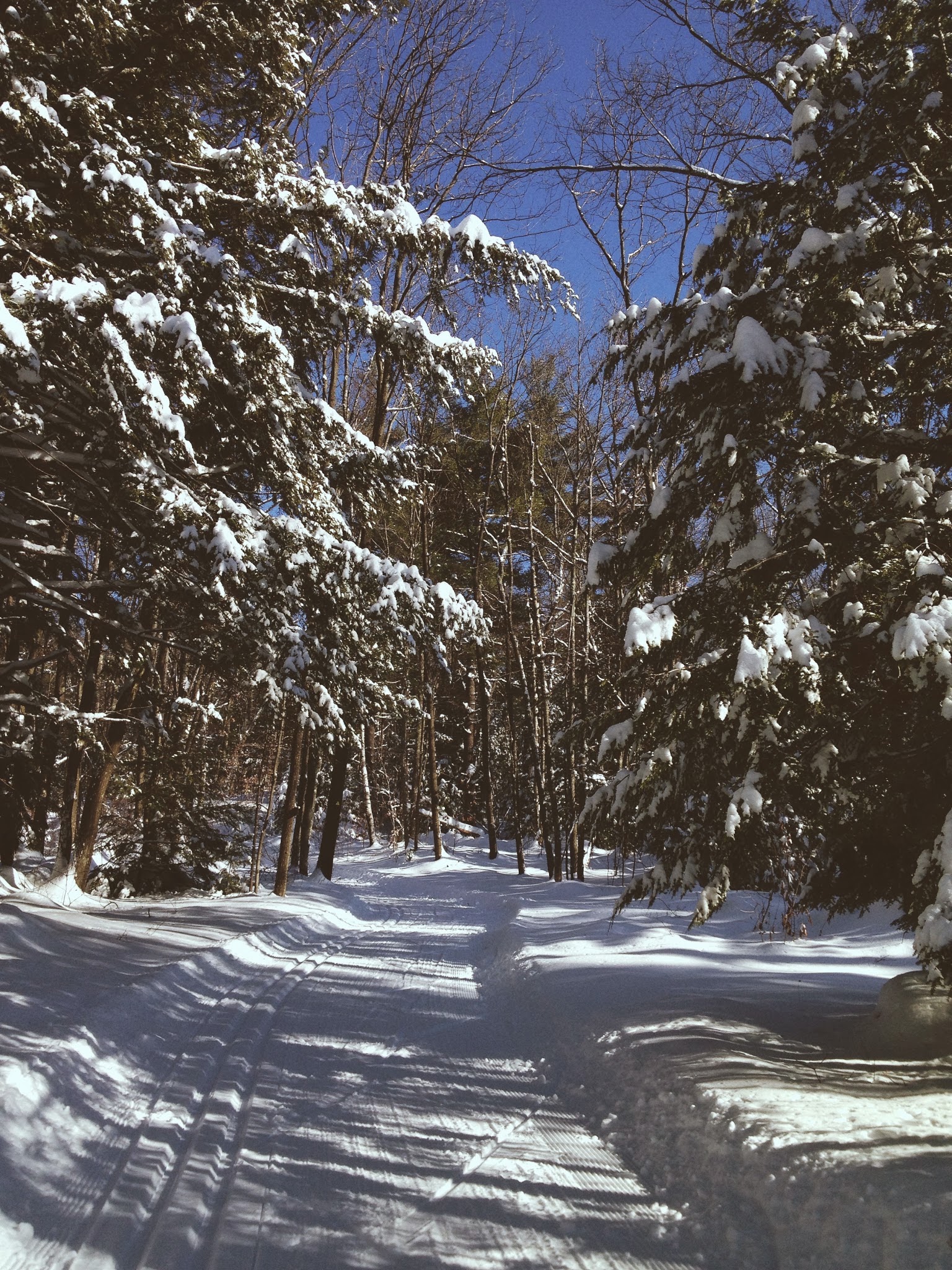 life lessons in skiing — image 2
