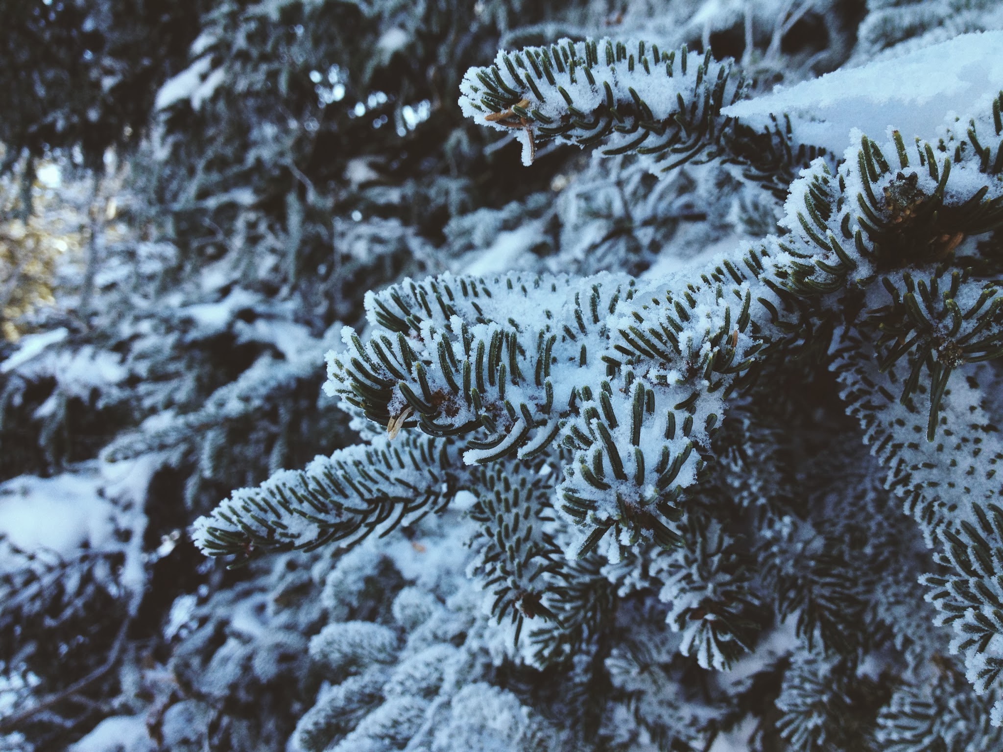 life lessons in skiing — image 8