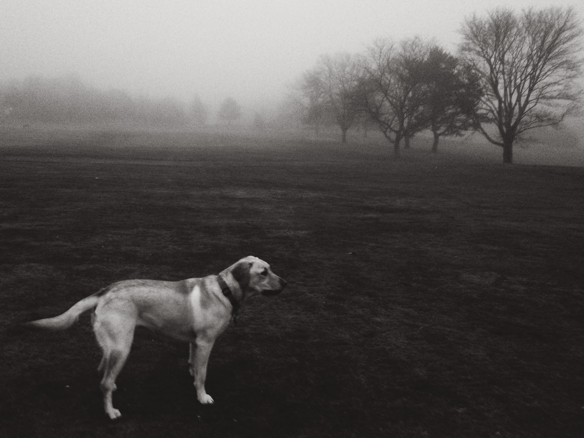 Outdoors with Ruby May — image 7