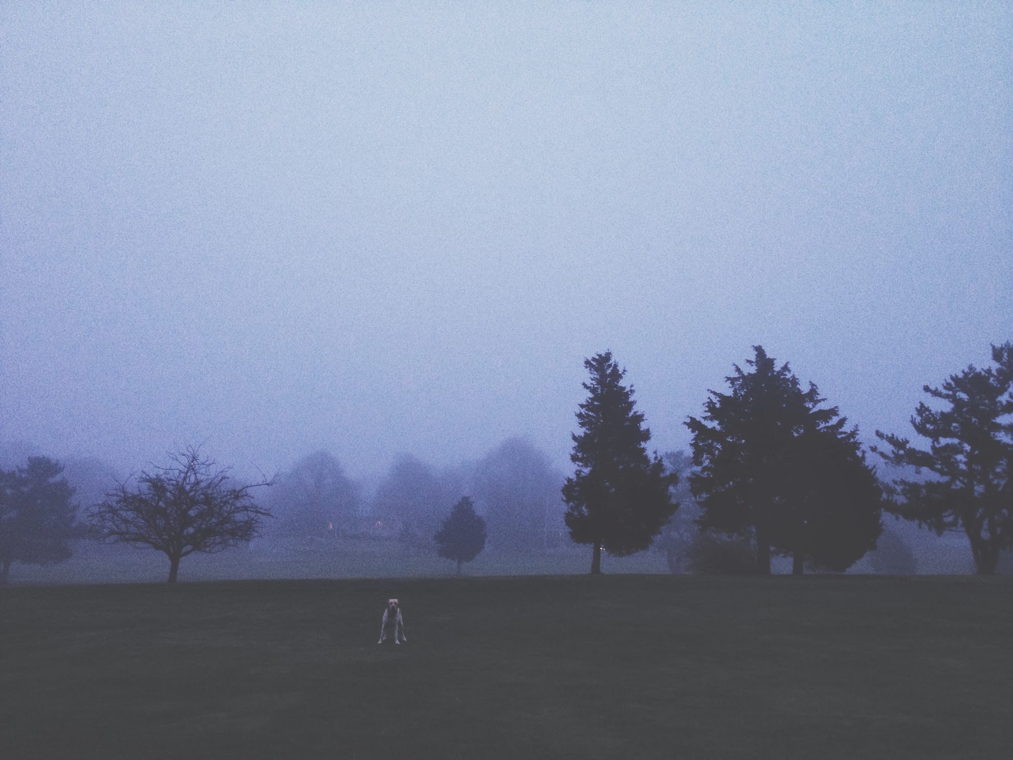 Outdoors with Ruby May — image 8