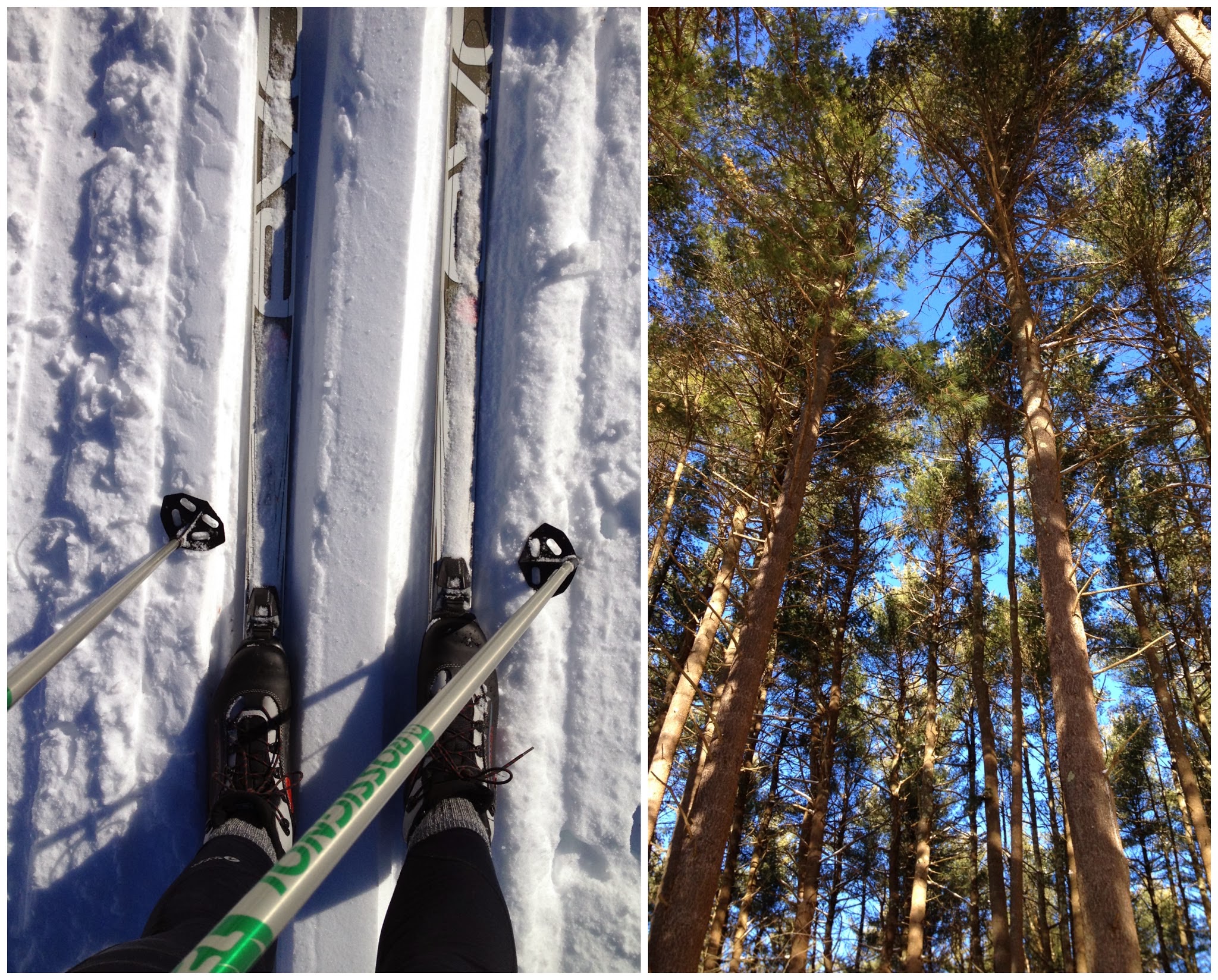 Adventures in Skiing! — image 2