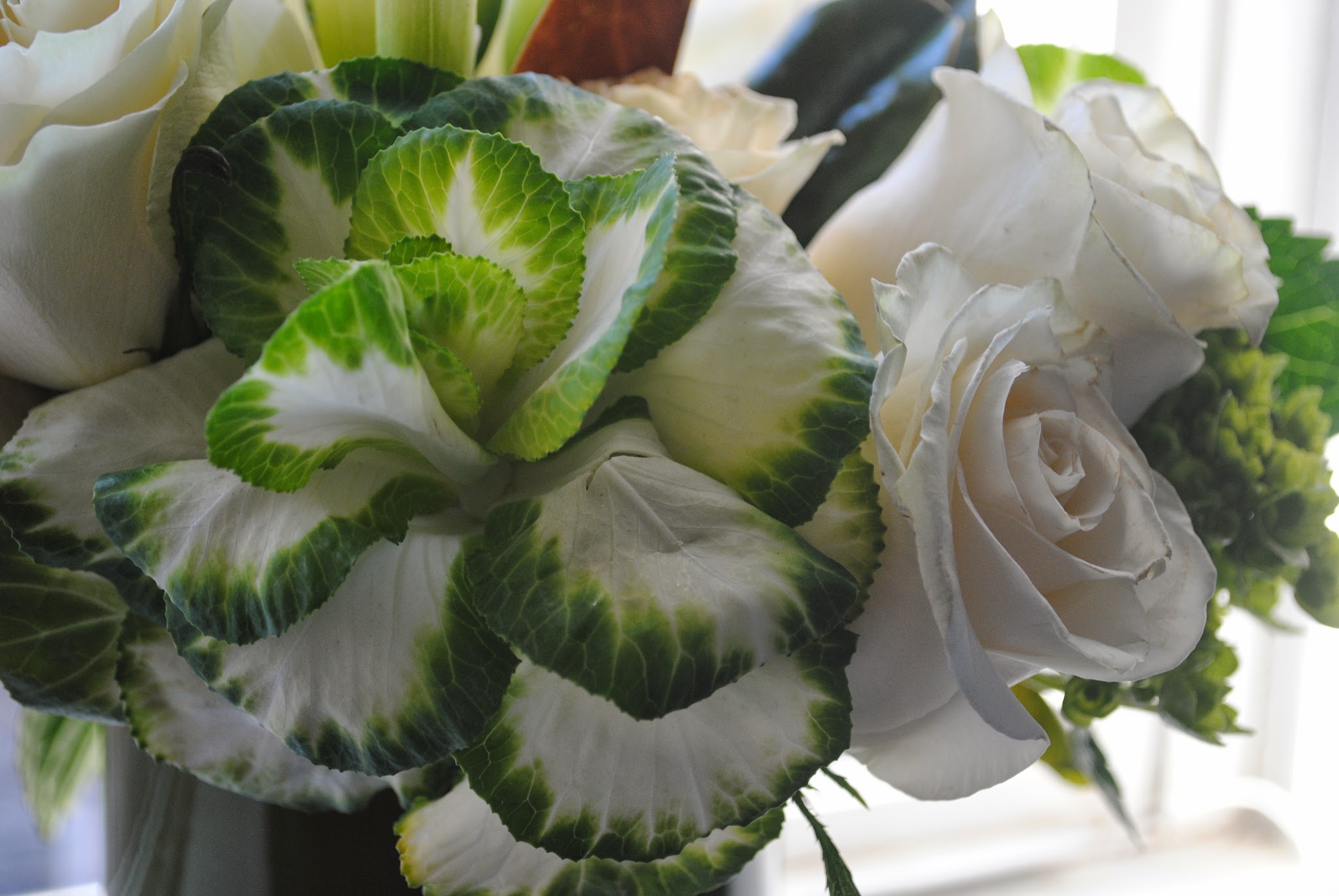 A few bright blooms — image 6