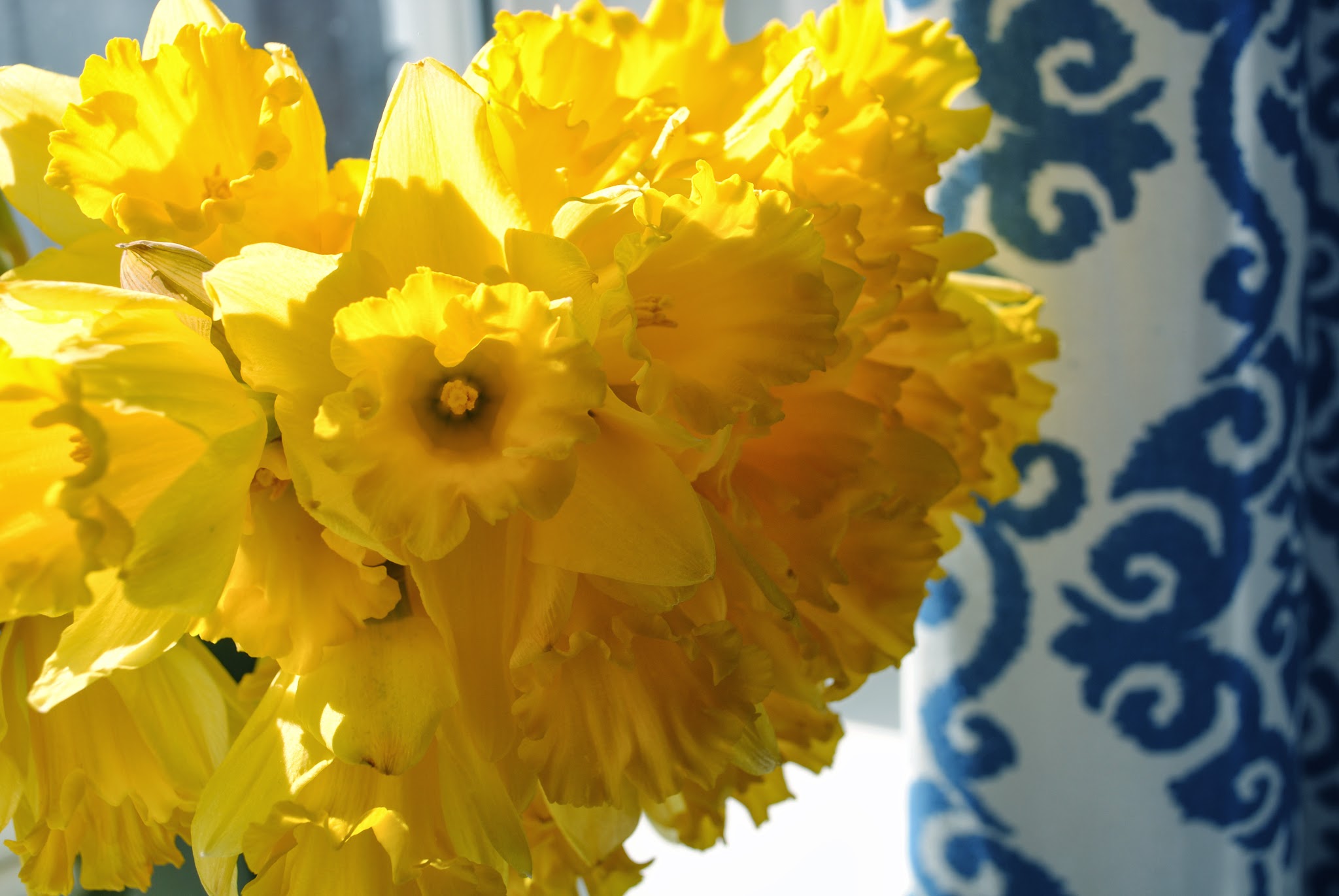 A few bright blooms — image 1