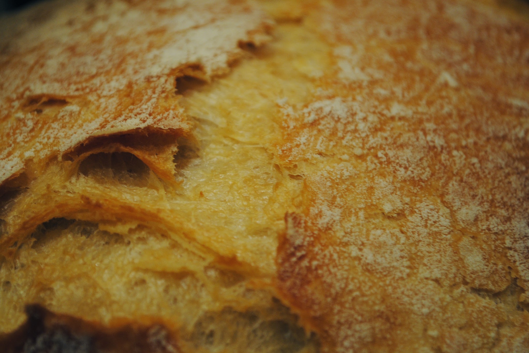 the best homemade bread ever — image 2