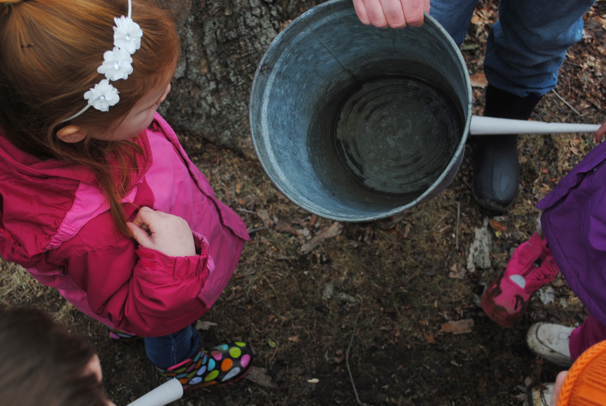 maple syrup day at the farm — image 4