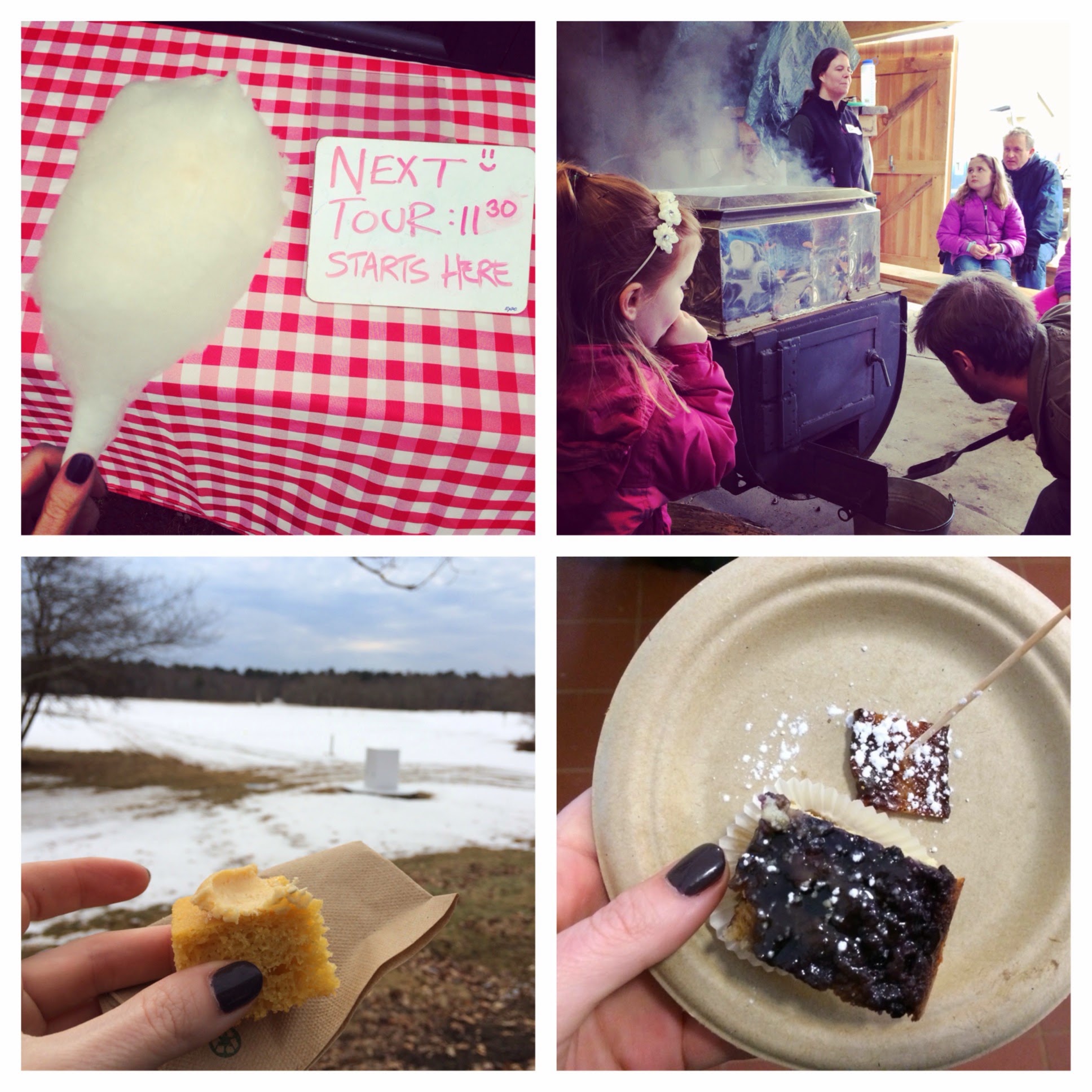 maple syrup day at the farm — image 7