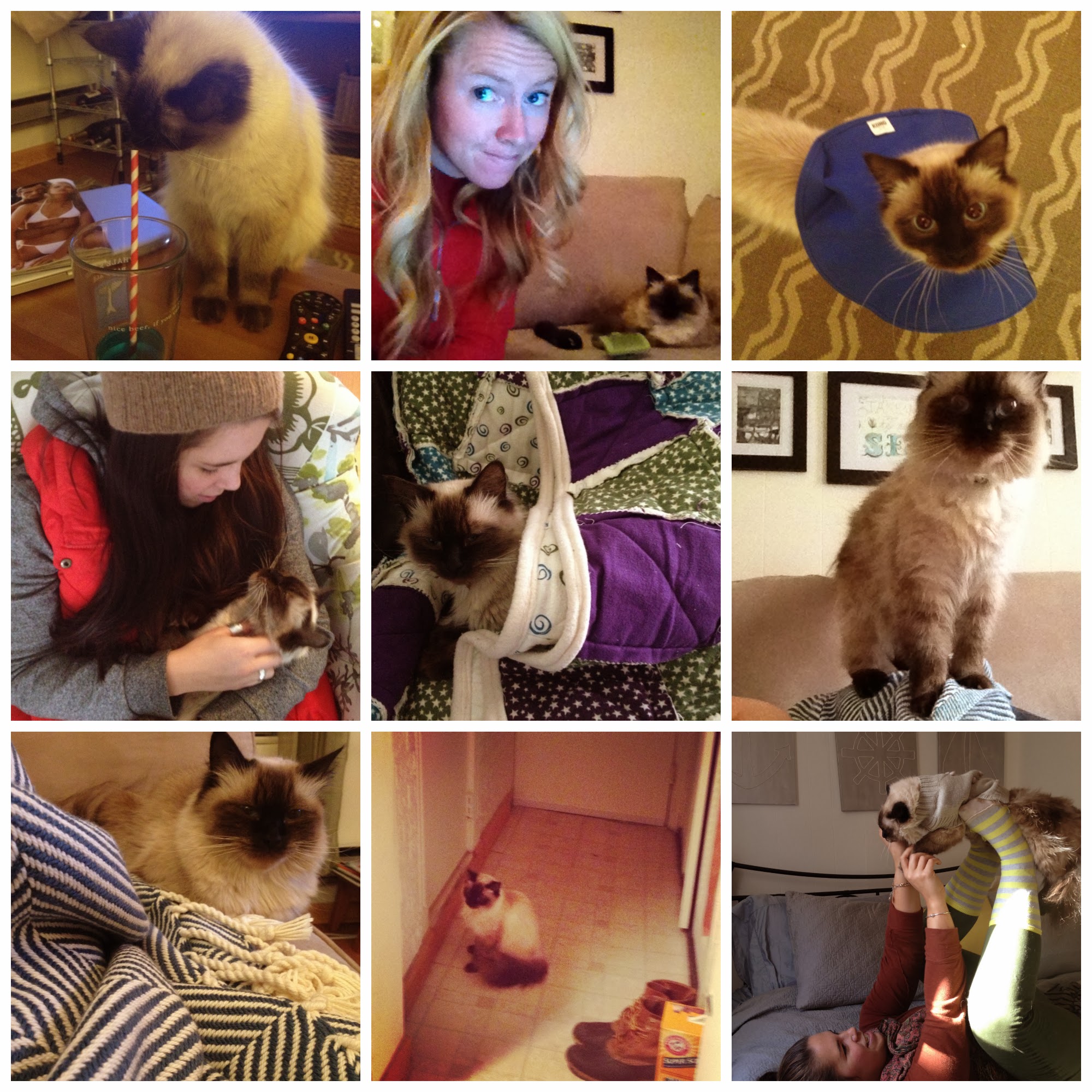 Year 1 with Eleanor — image 3