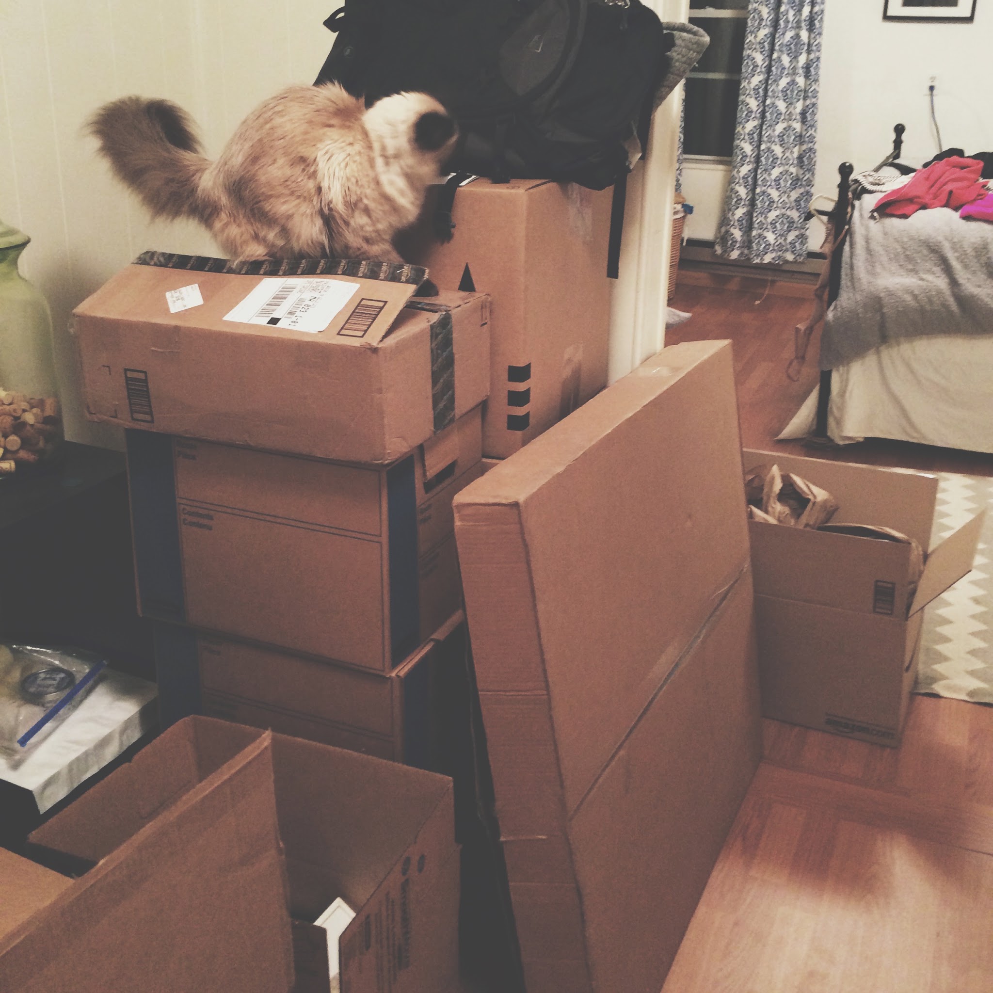 My Current Packing Moment