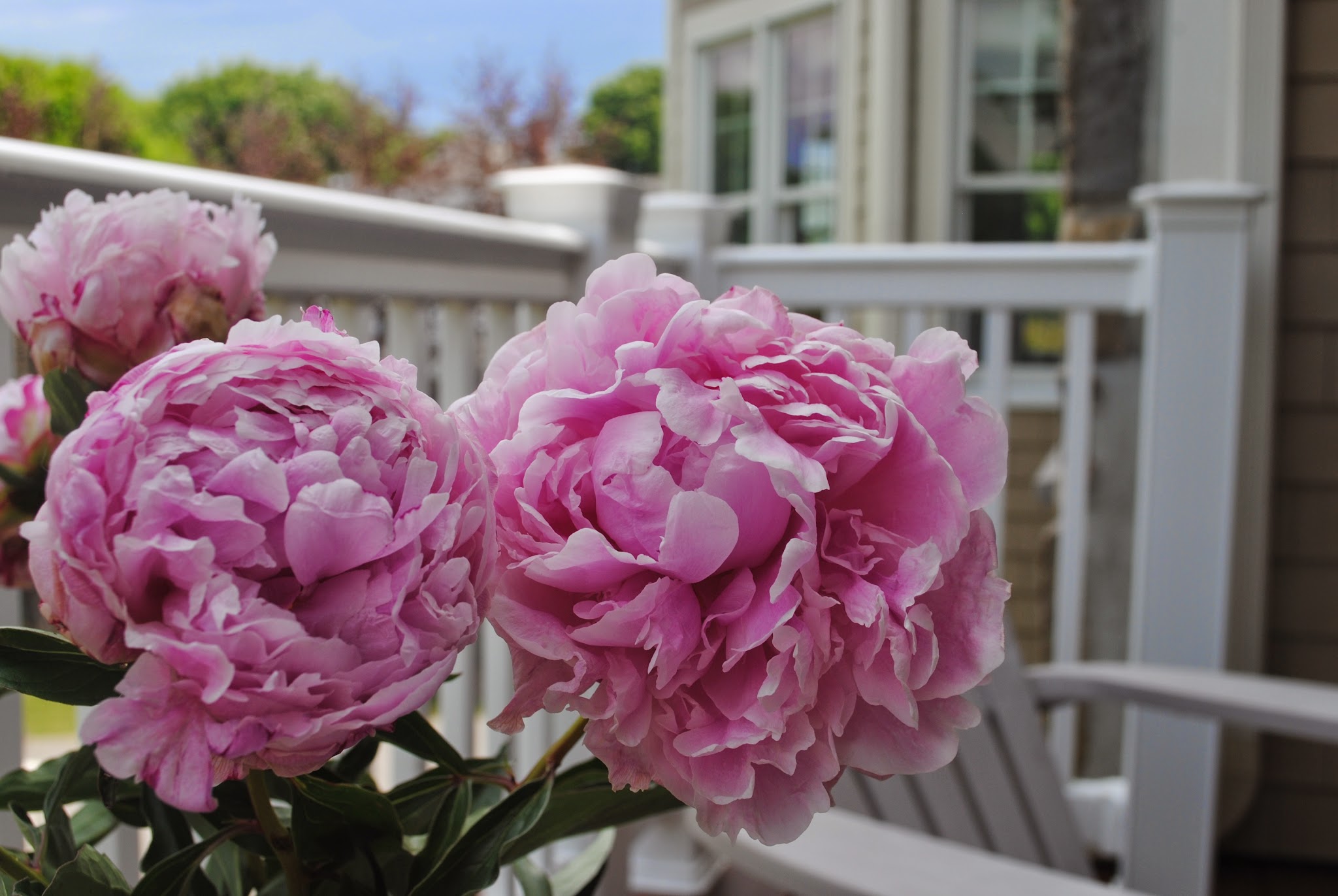 memorial day wrap — image 4