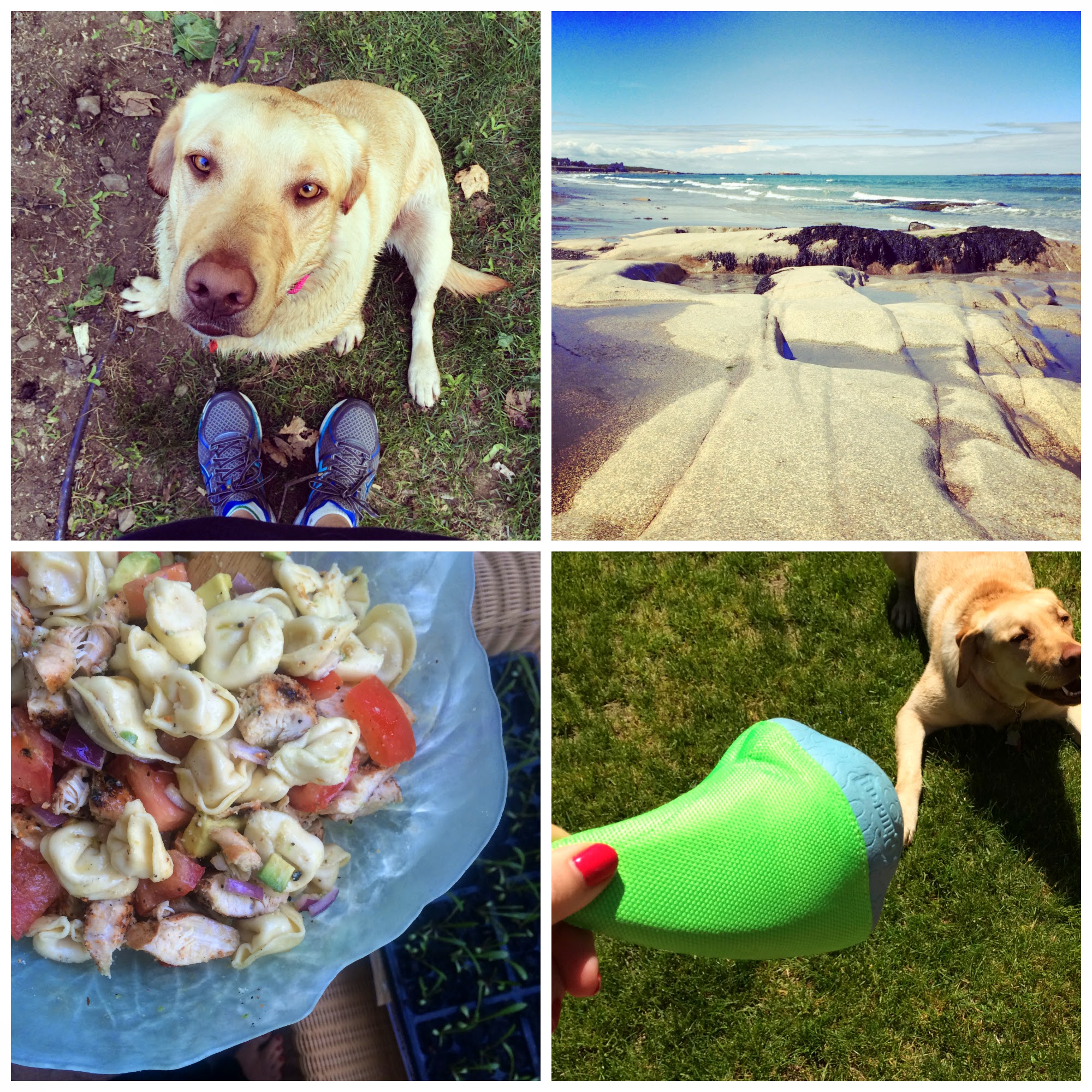 memorial day wrap — image 3