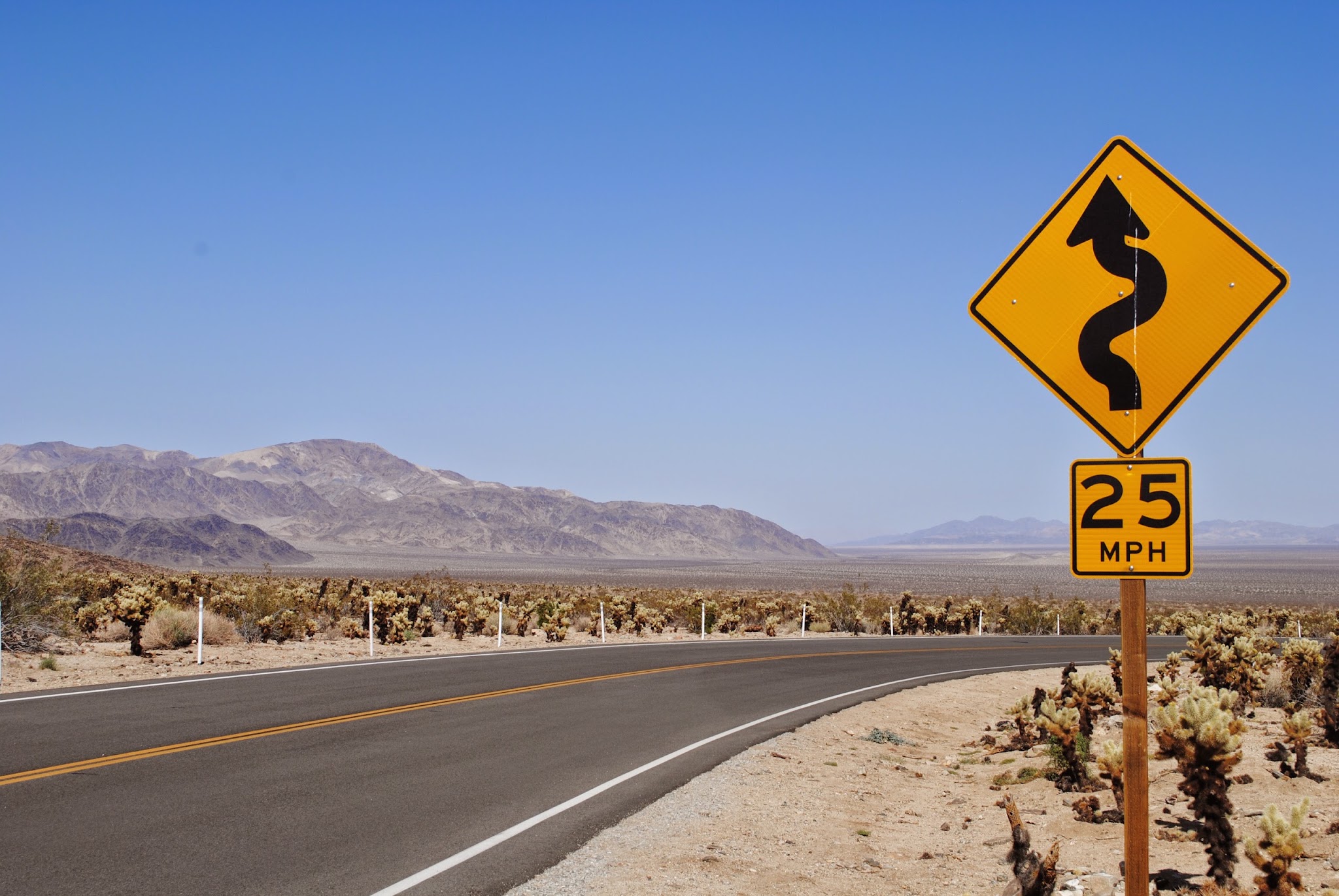 my jaunt to the desert