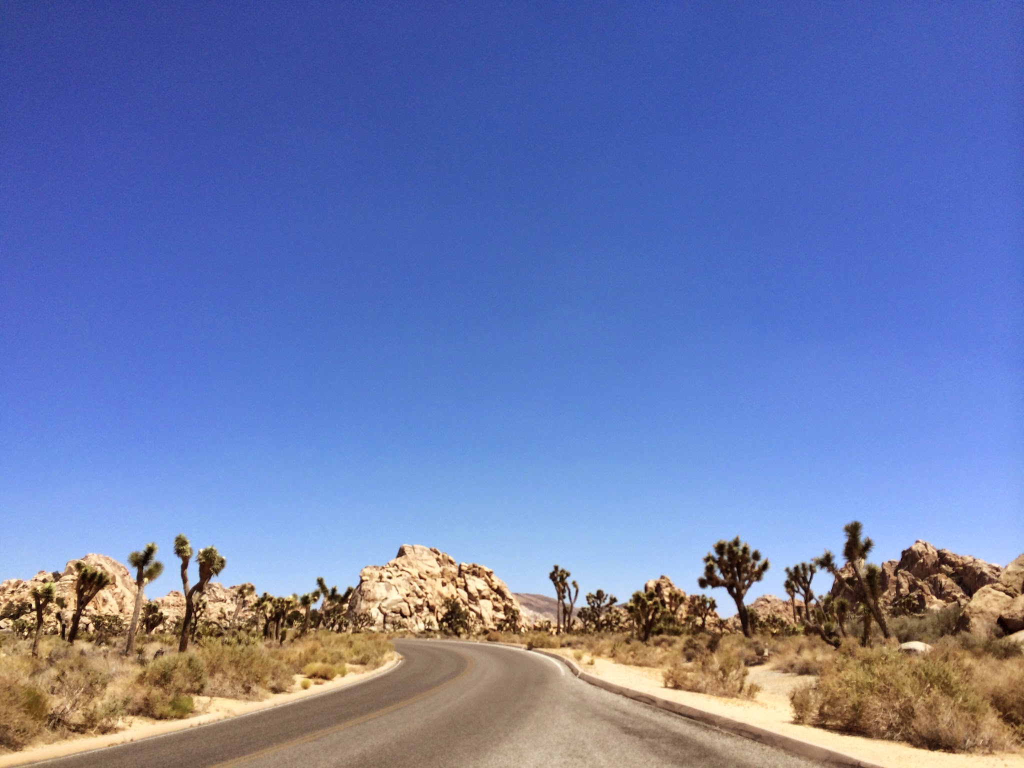 my jaunt to the desert — image 7
