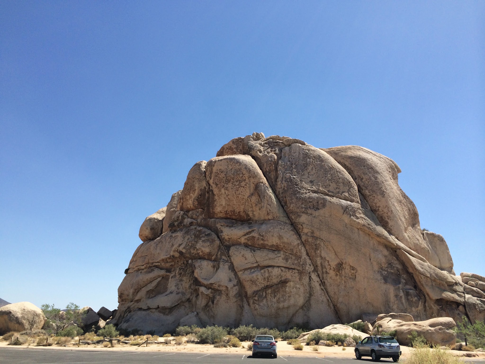 my jaunt to the desert — image 8