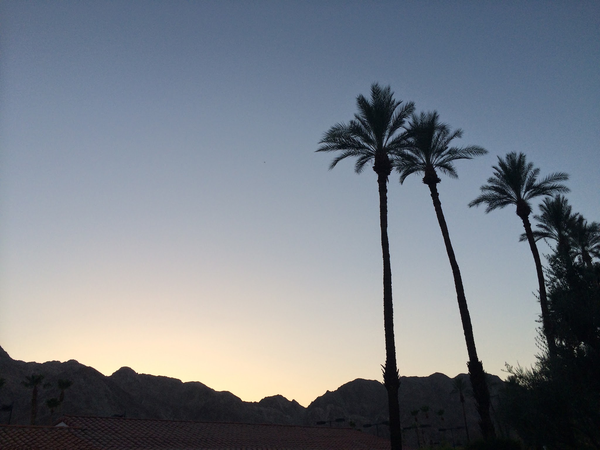 my jaunt to the desert — image 13