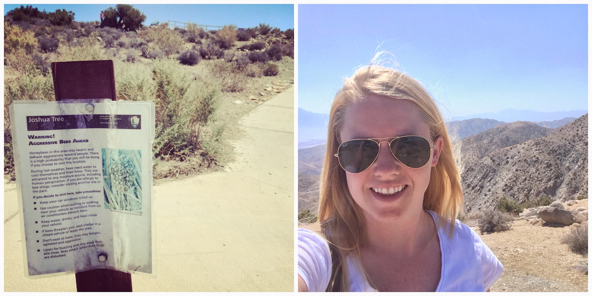 my jaunt to the desert — image 4