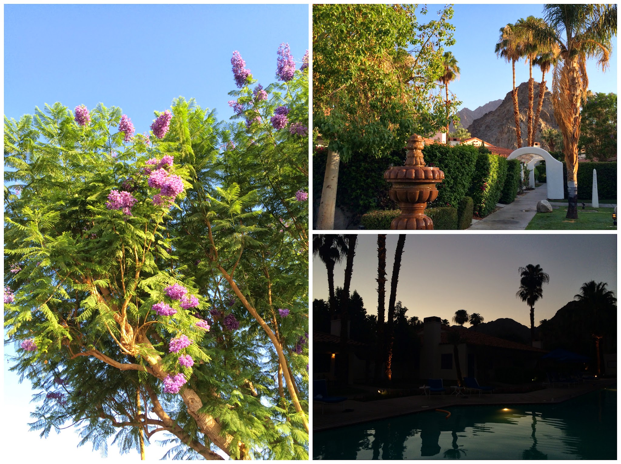 my jaunt to the desert — image 11