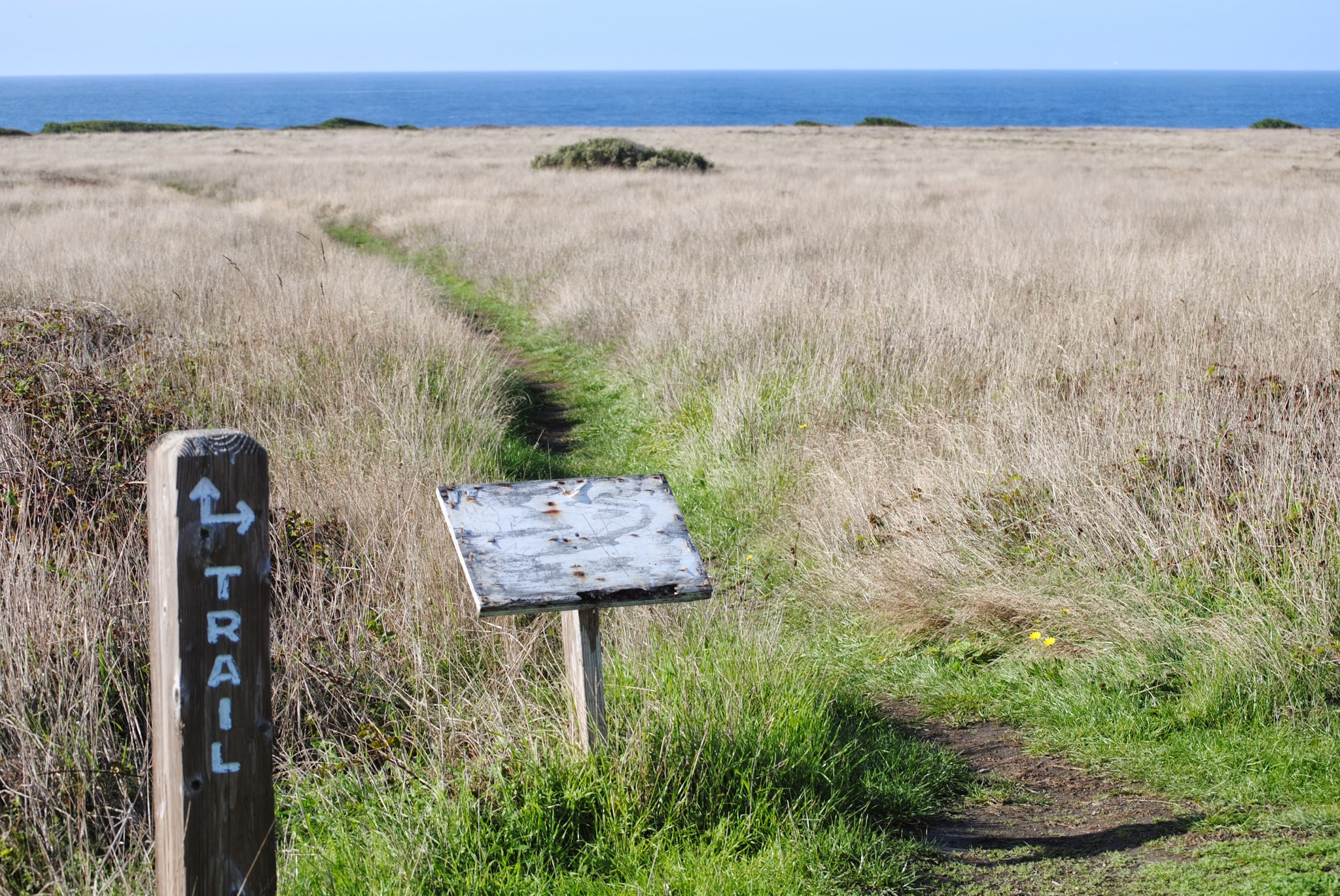 Valley to the Ocean ... via the Redwoods // Day 2 — image 11