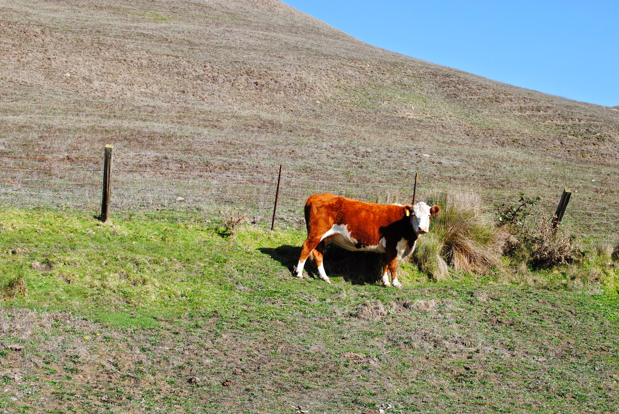 107 Curvy Miles // Day 3 — image 10