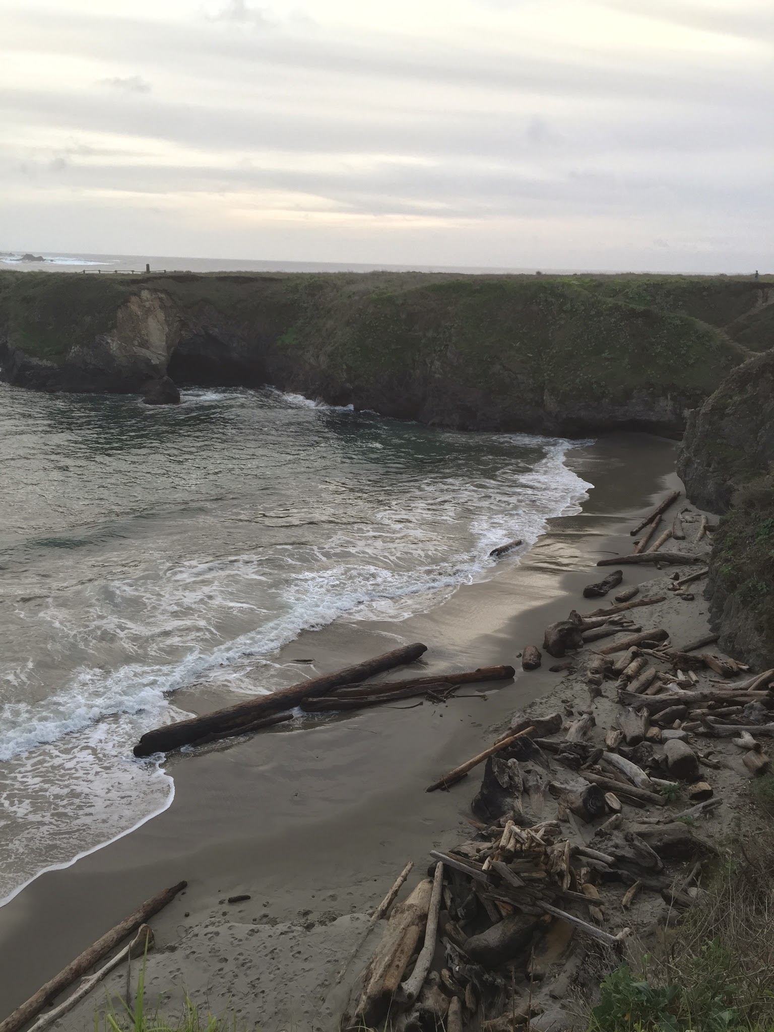 Valley to the Ocean ... via the Redwoods // Day 2 — image 16