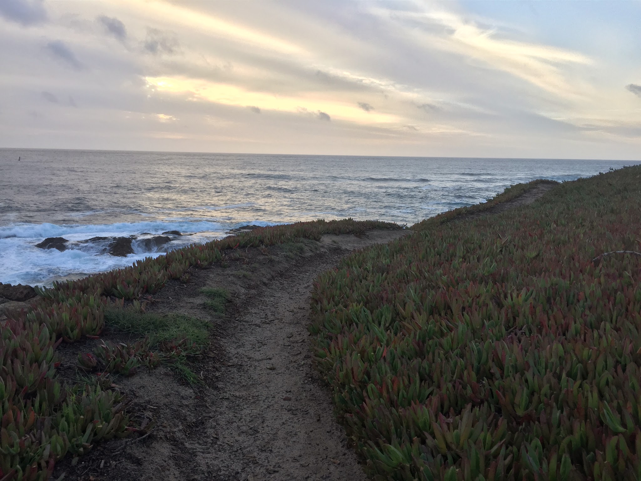 Valley to the Ocean ... via the Redwoods // Day 2 — image 18