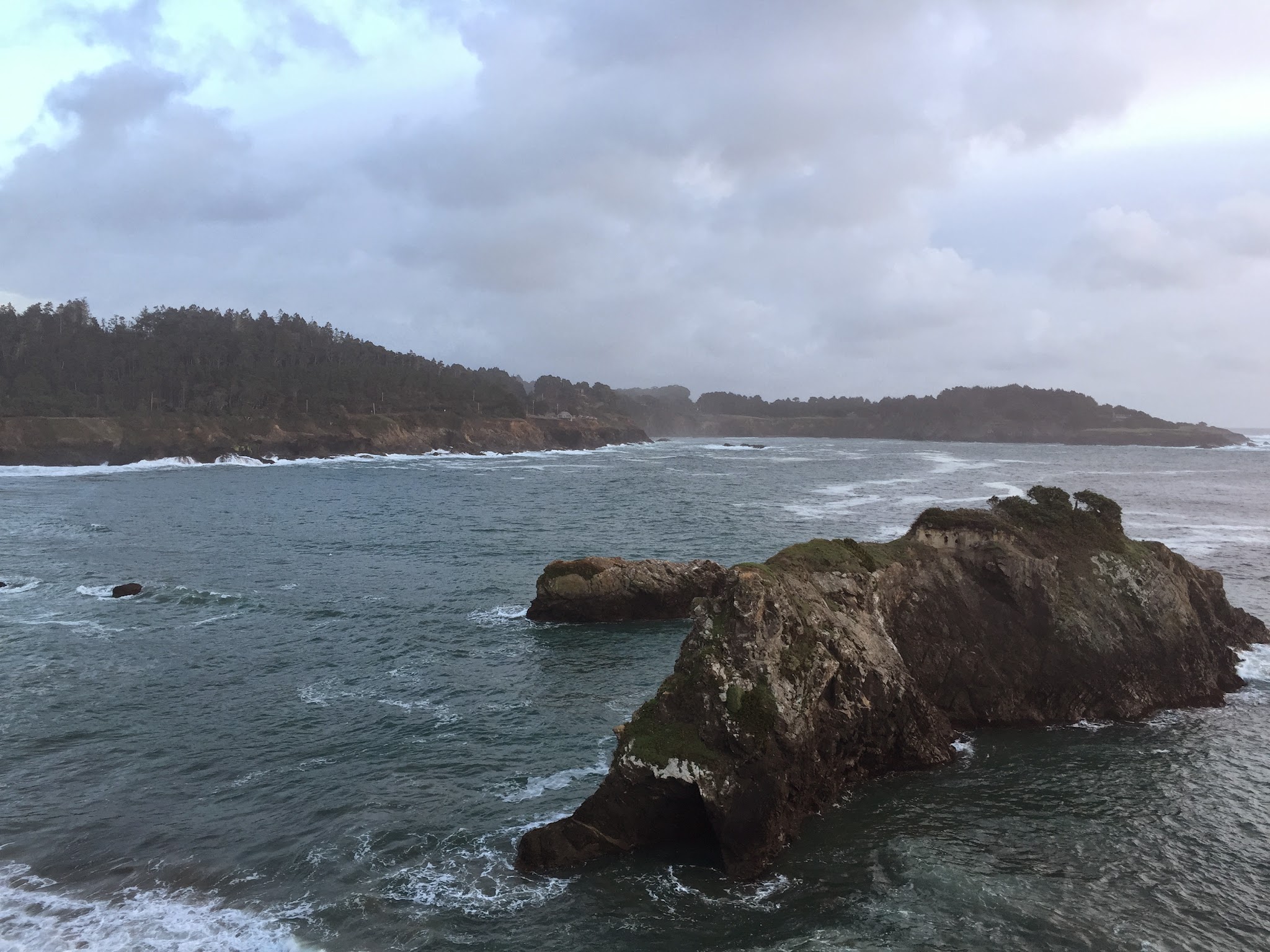 Valley to the Ocean ... via the Redwoods // Day 2 — image 19