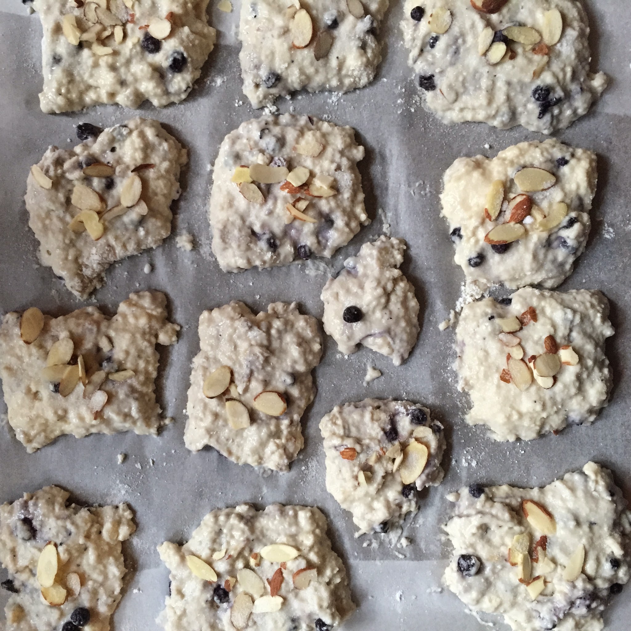 Almond Blueberry Scones — image 2