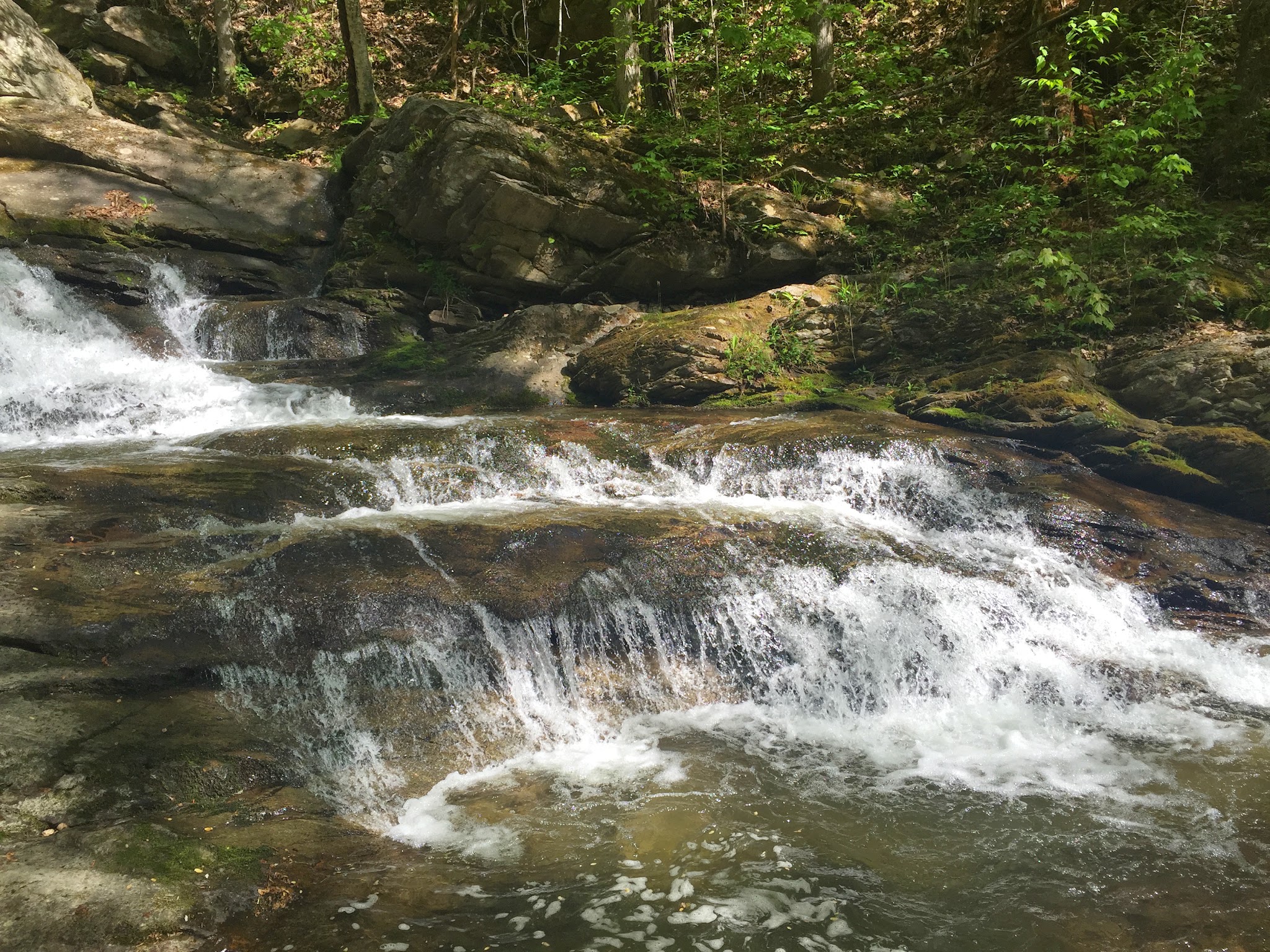 A weekend in Boone — image 7