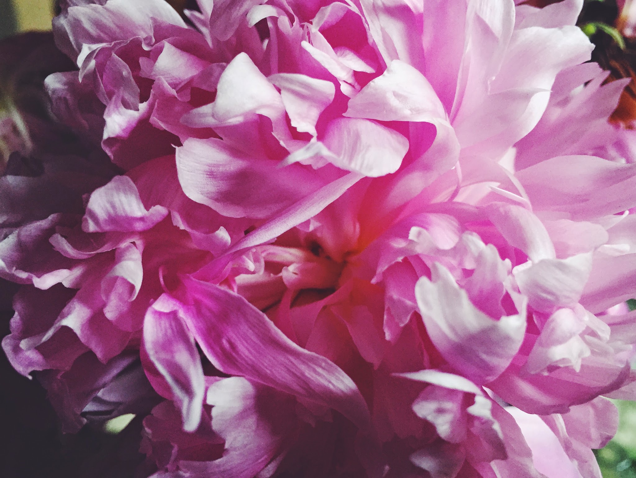 that time of year... — image 1