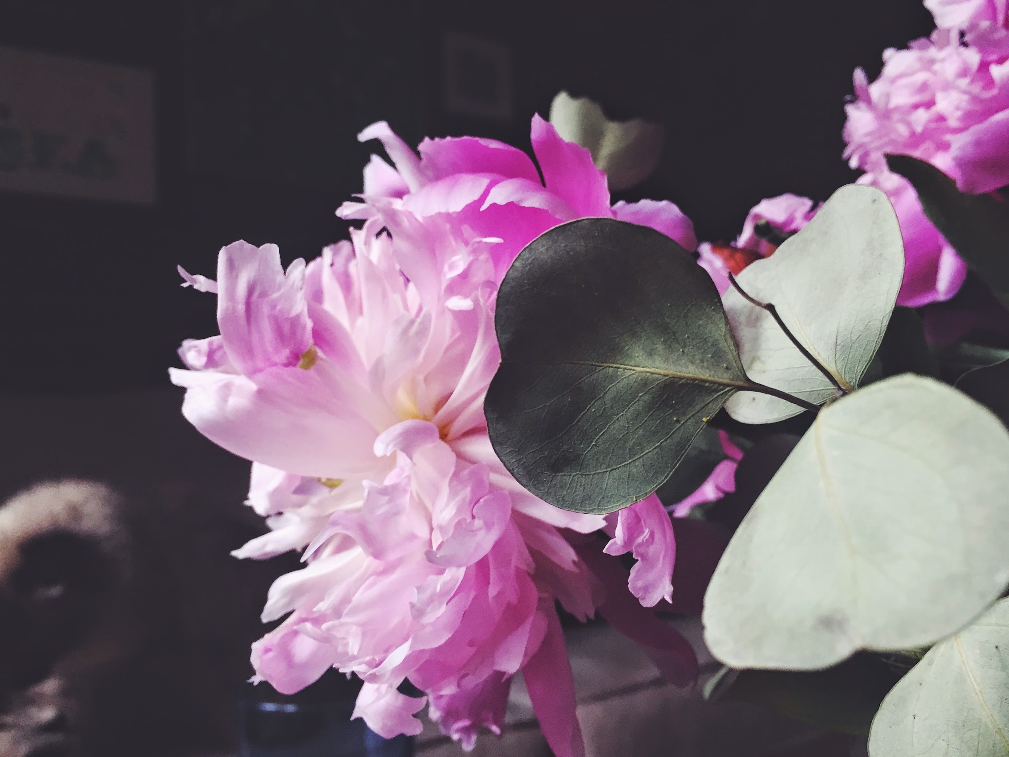that time of year... — image 3