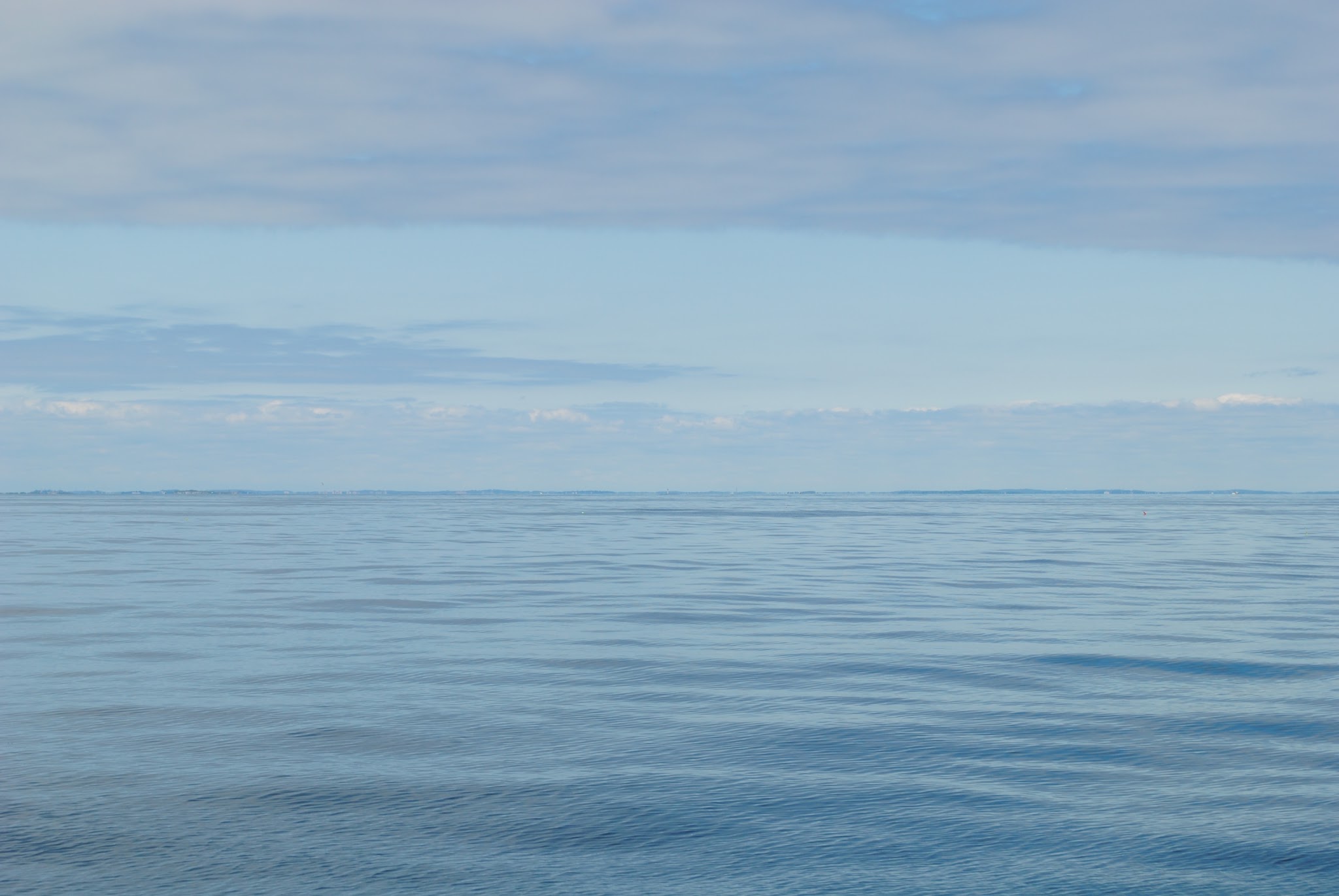 coastal adventures in provincetown — image 17